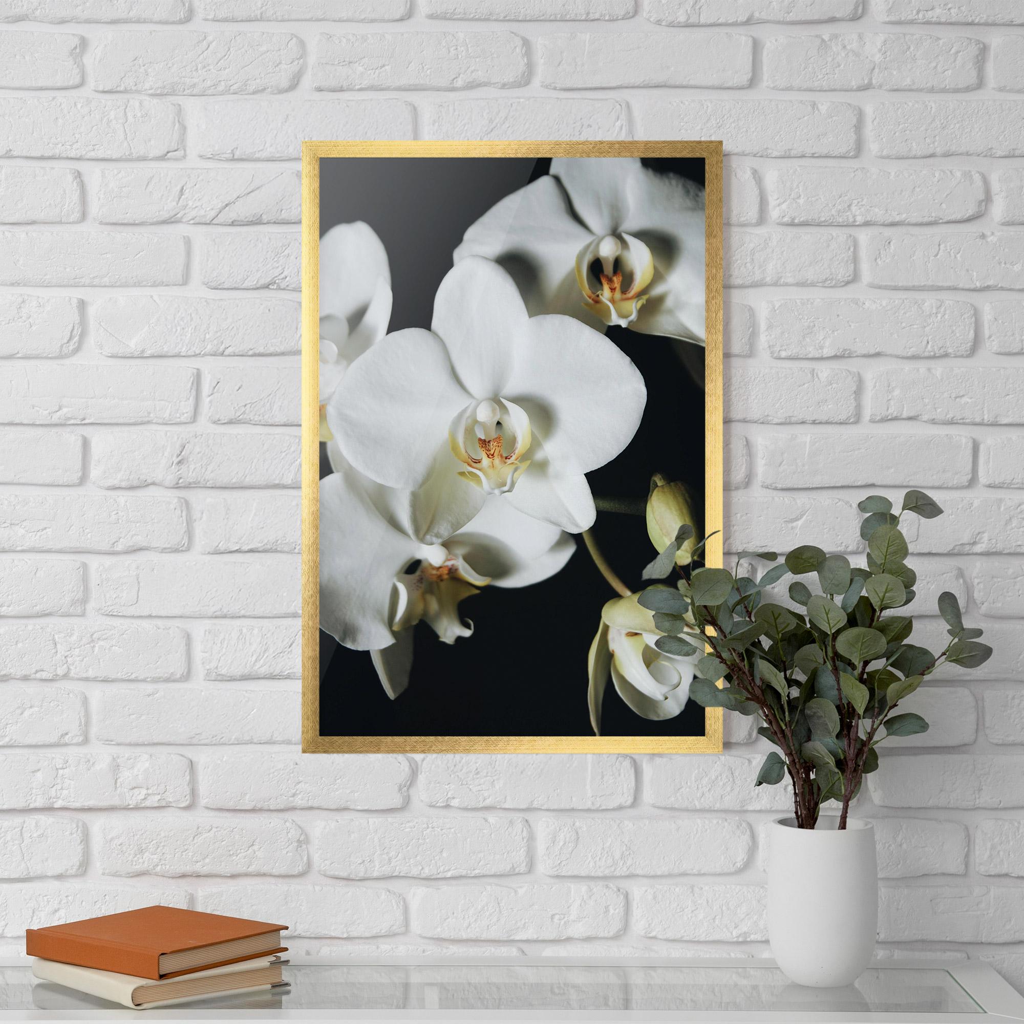 Gerahmte Poster White Orchid On Black mockup 5
