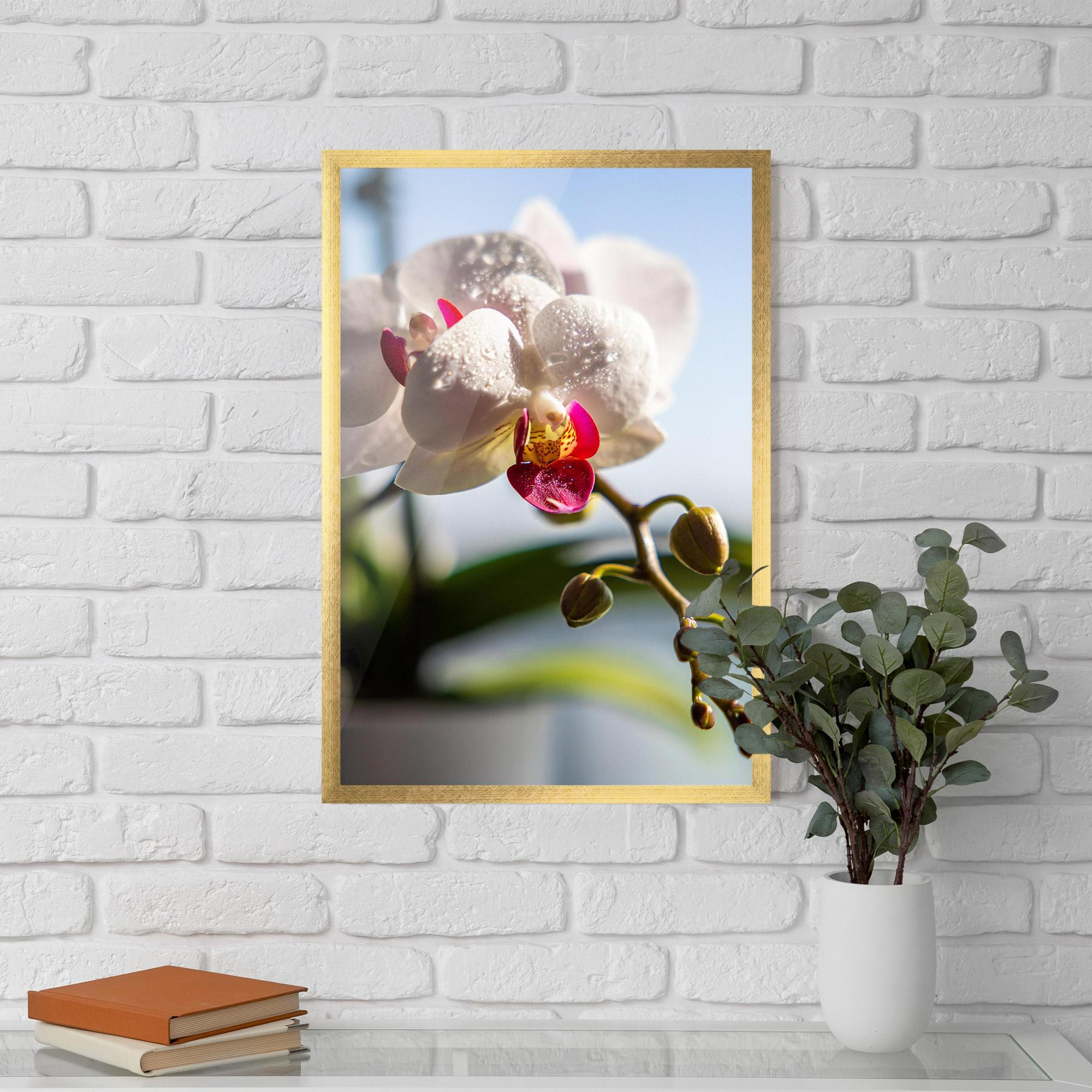 Gerahmte Poster White Orchid With Water mockup 5