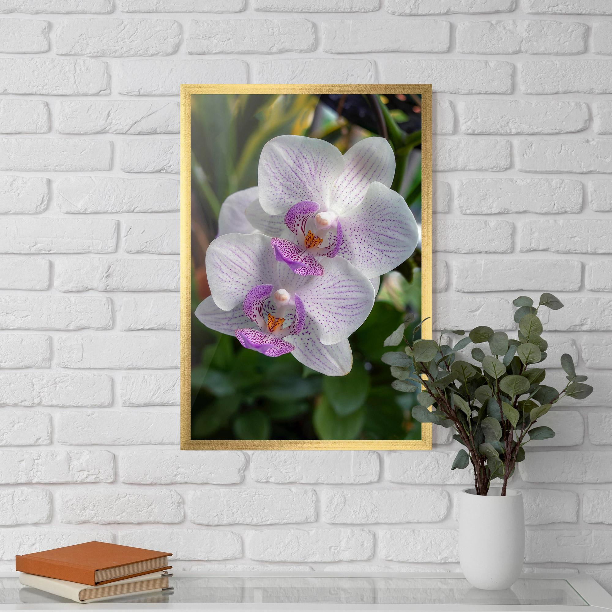 Gerahmte Poster White Orchids mockup 5