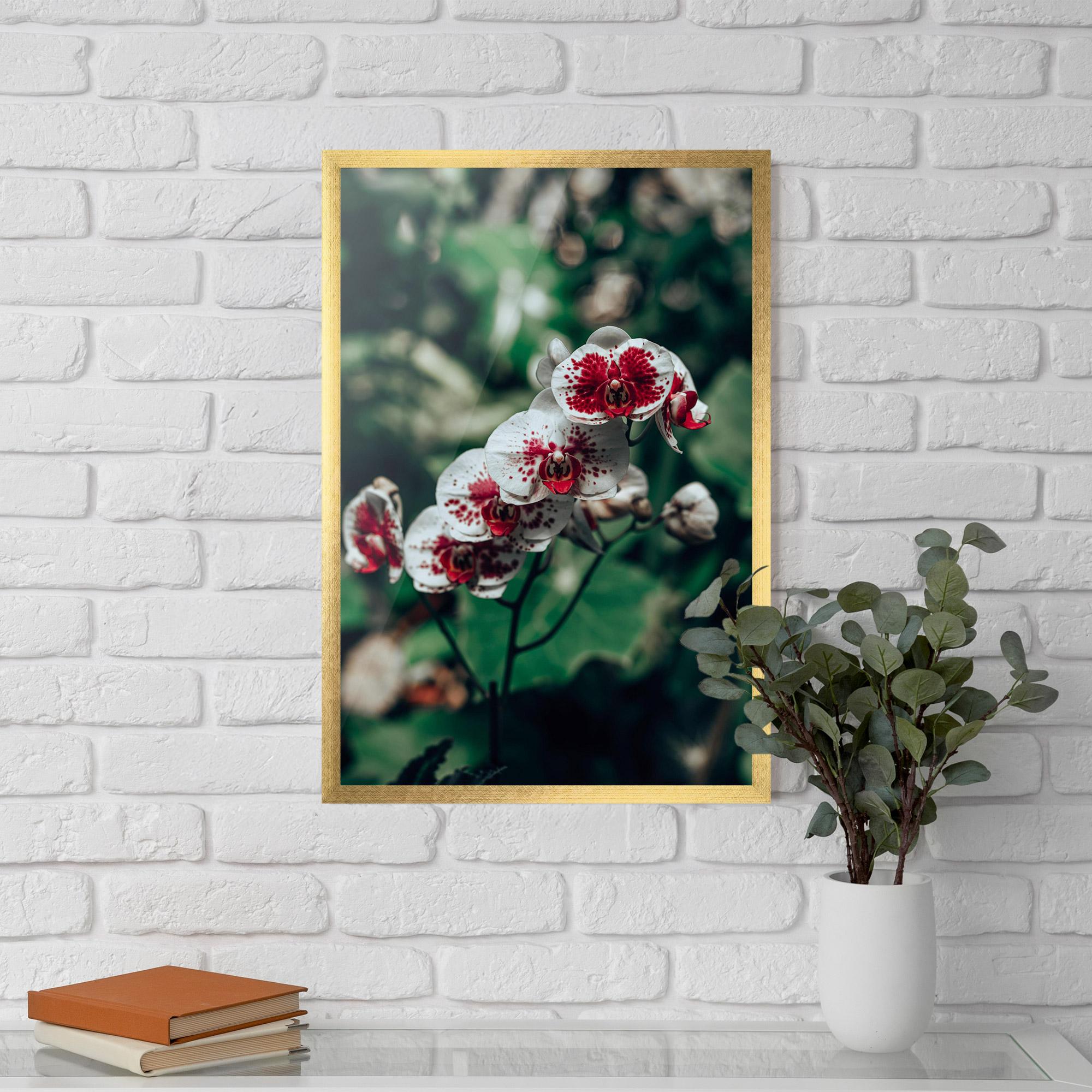 Gerahmte Poster White Red Orchid mockup 5