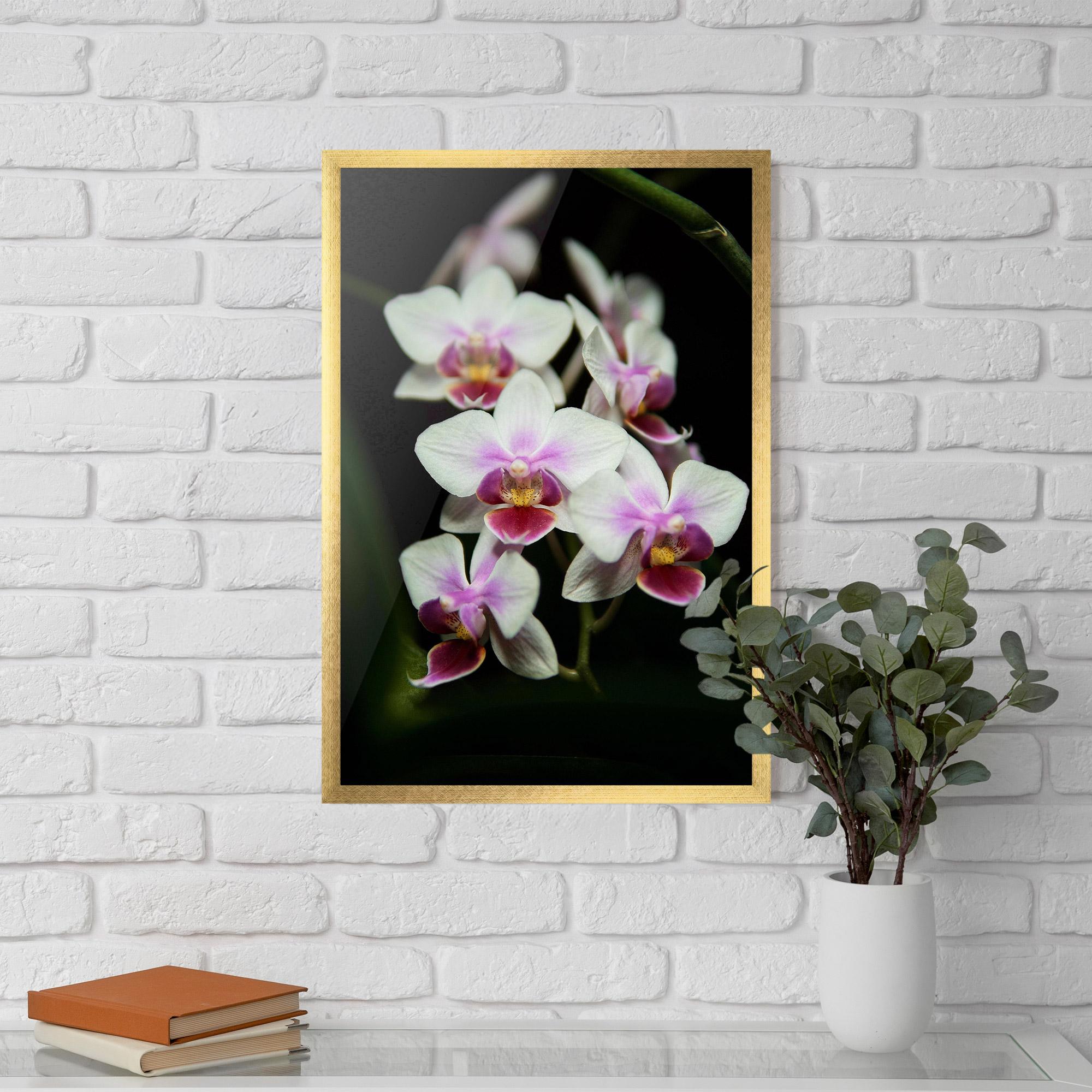Gerahmte Poster Wild White Purple Orchid mockup 5