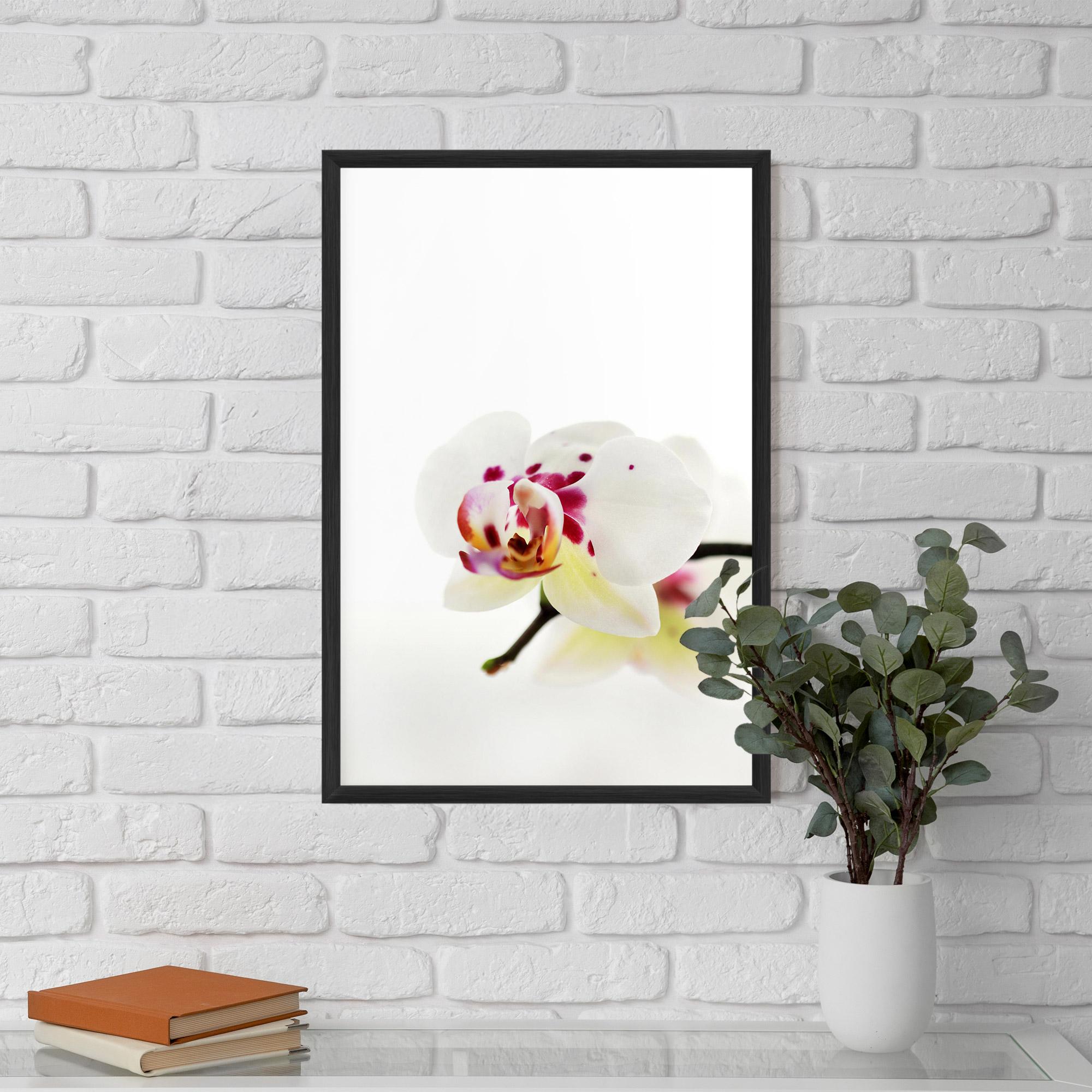 Gerahmte Poster Clean White Orchid mockup 5