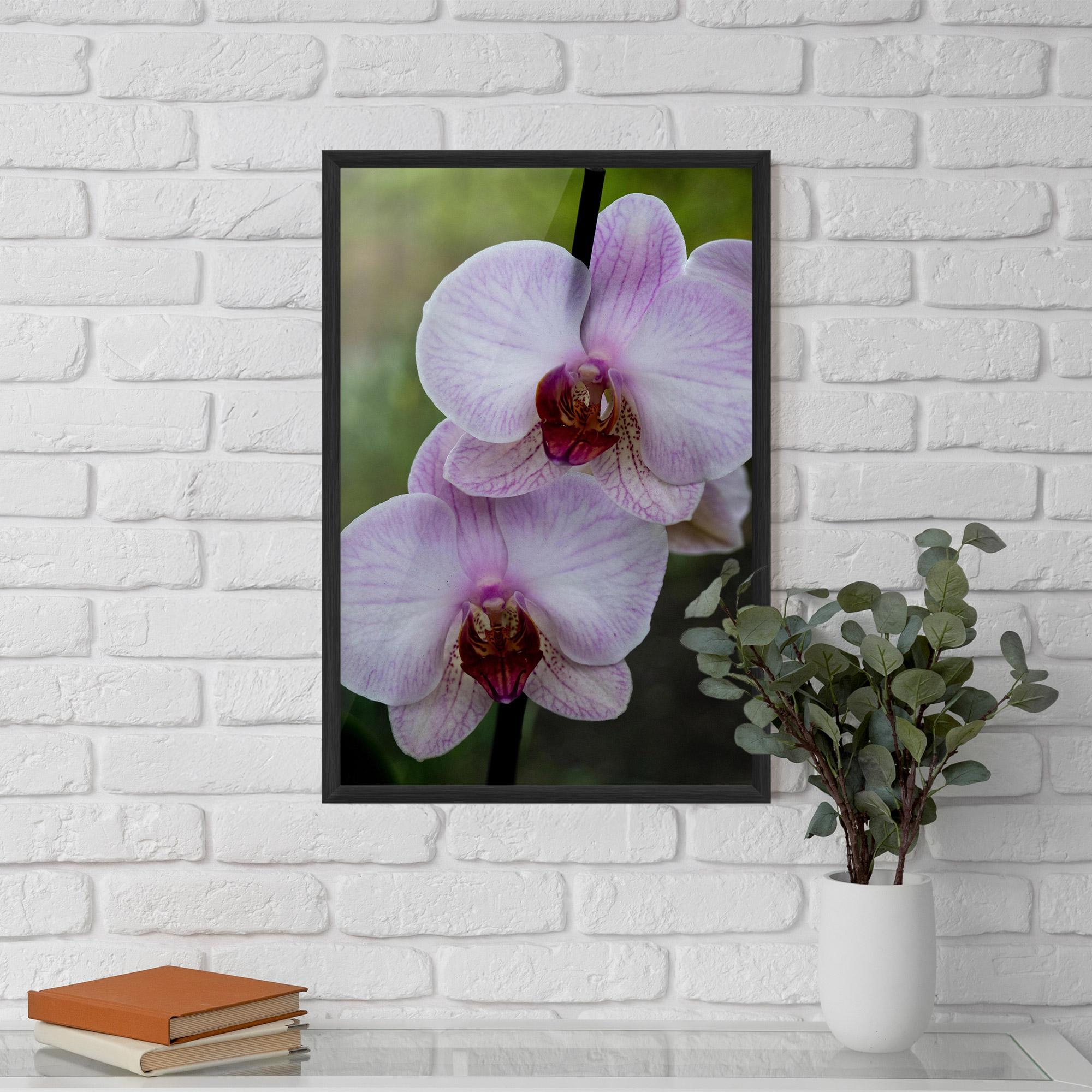 Gerahmte Poster Garden Light Purple Orchid mockup 5