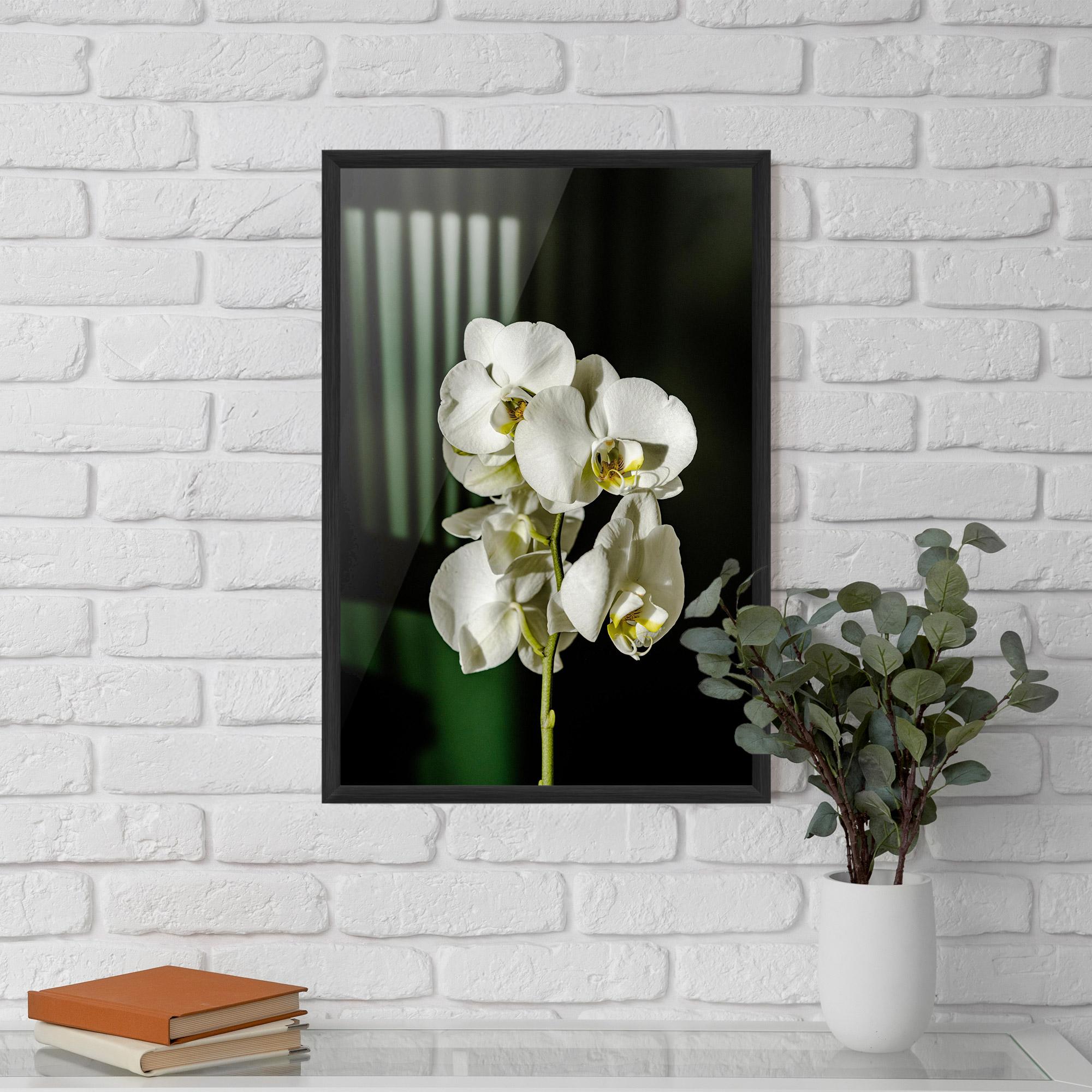 Gerahmte Poster Orchid On Green mockup 5