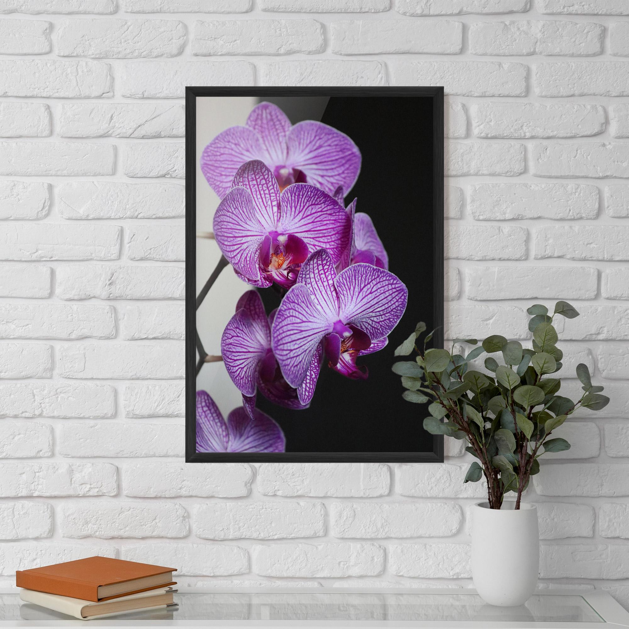 Gerahmte Poster Purple Orchid On Black mockup 5