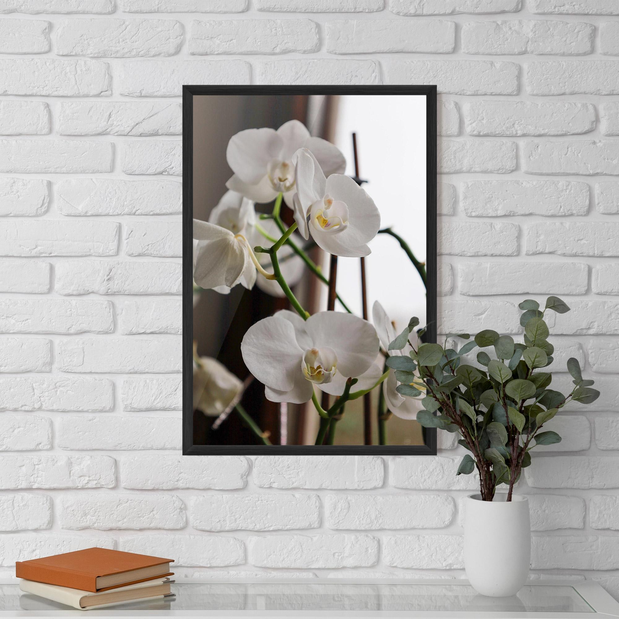 Gerahmte Poster White Orchid Growing mockup 5