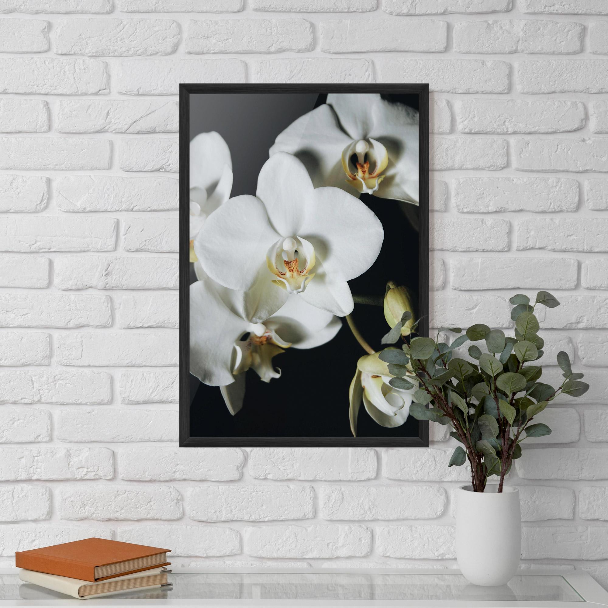 Gerahmte Poster White Orchid On Black mockup 5