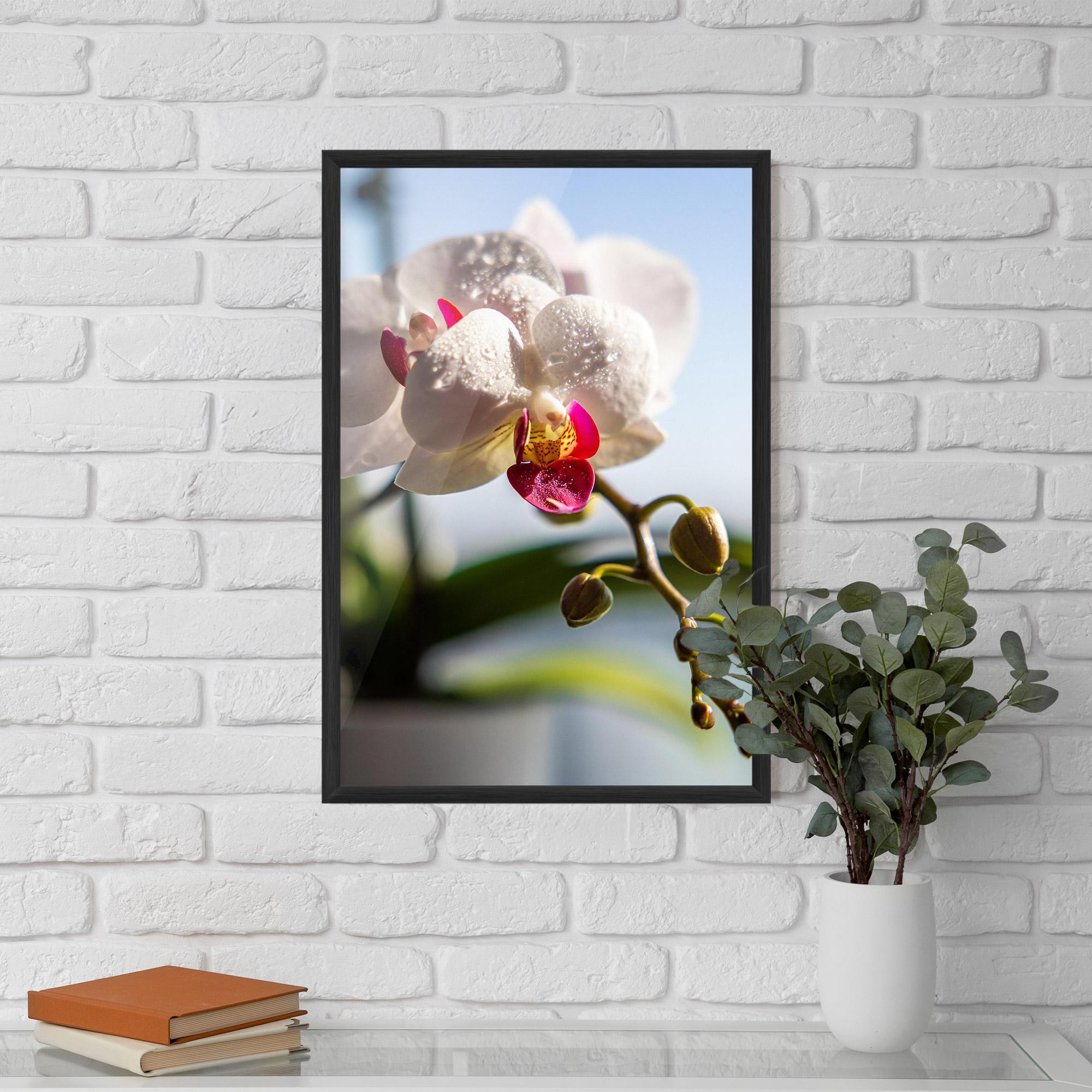 Gerahmte Poster White Orchid With Water mockup 5
