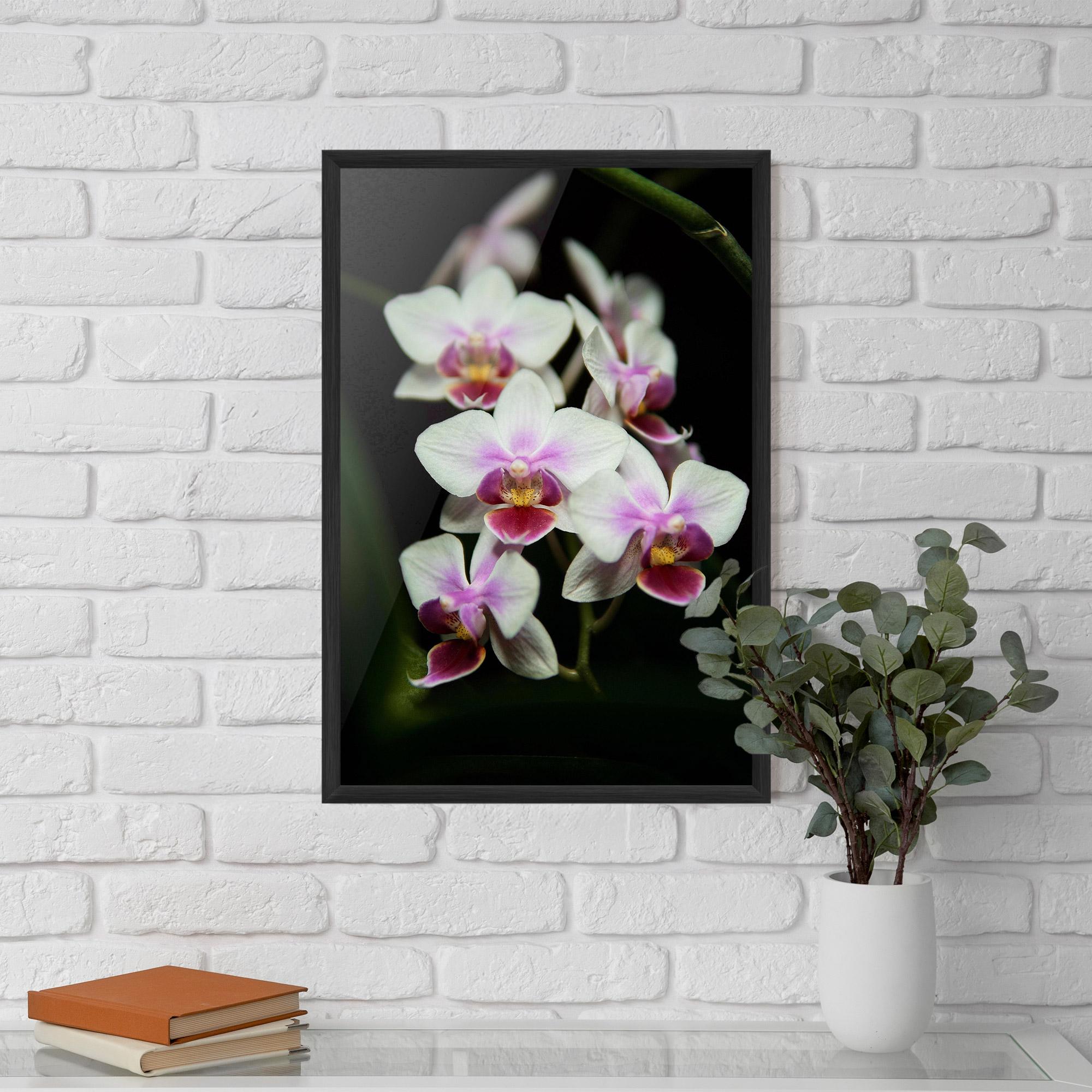 Gerahmte Poster Wild White Purple Orchid mockup 5