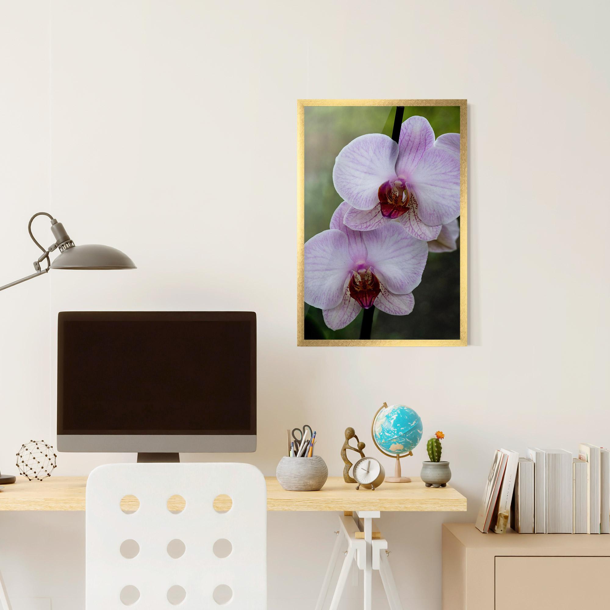 Gerahmte Poster Garden Light Purple Orchid mockup 6