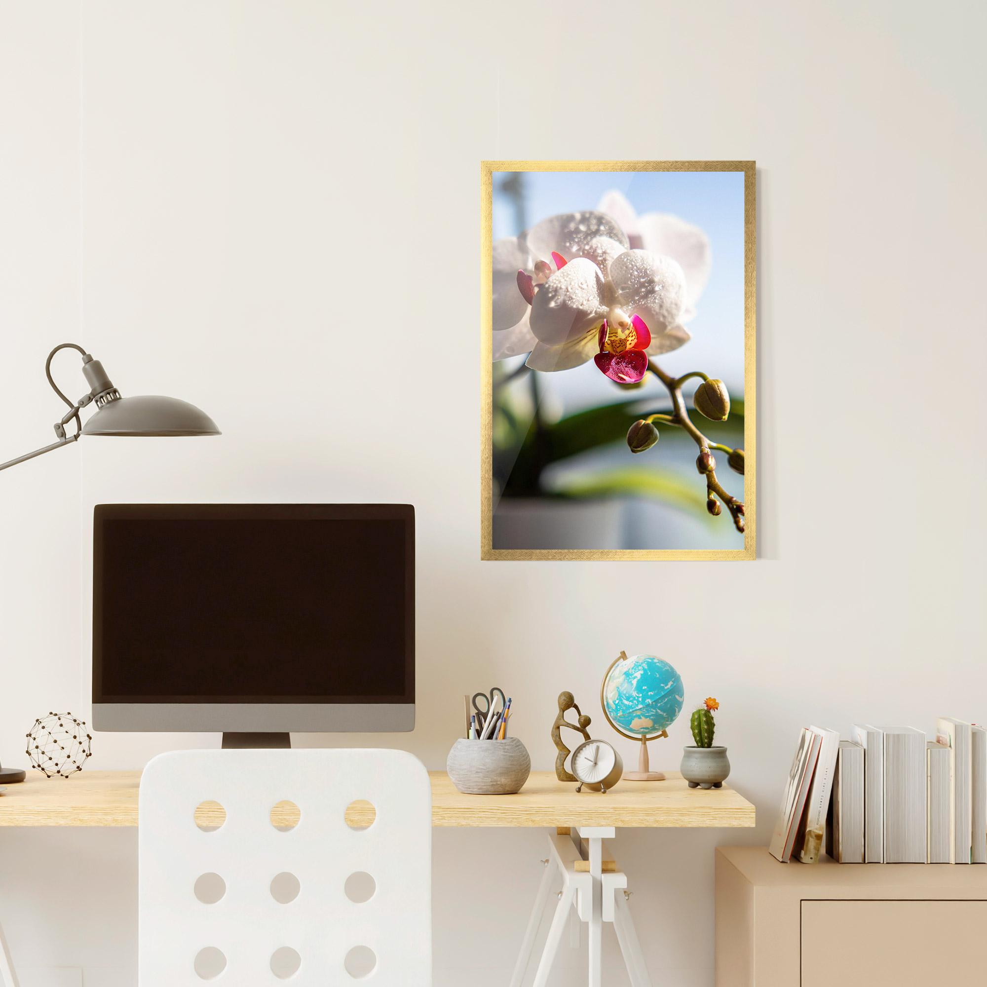 Gerahmte Poster White Orchid With Water mockup 6
