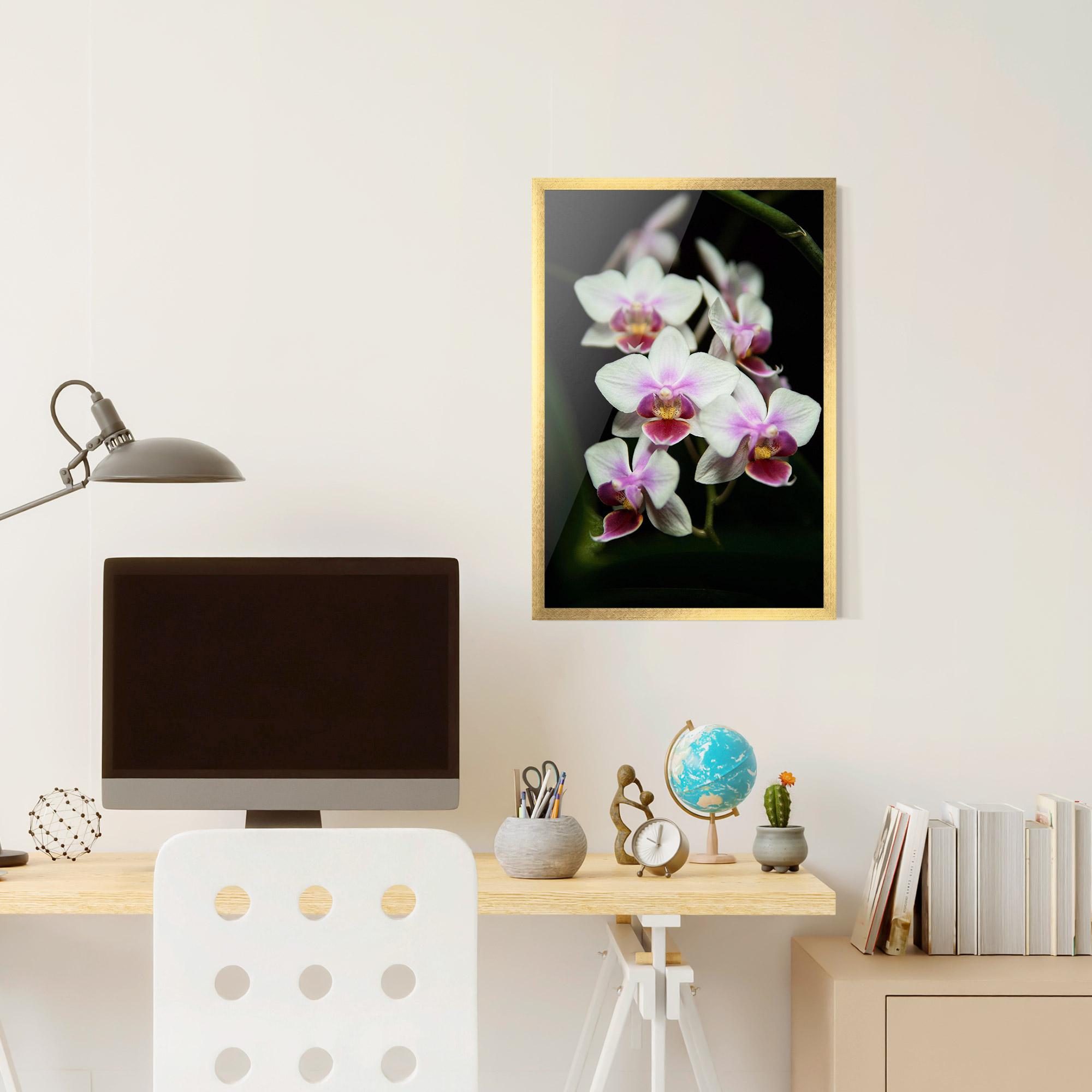 Gerahmte Poster Wild White Purple Orchid mockup 6