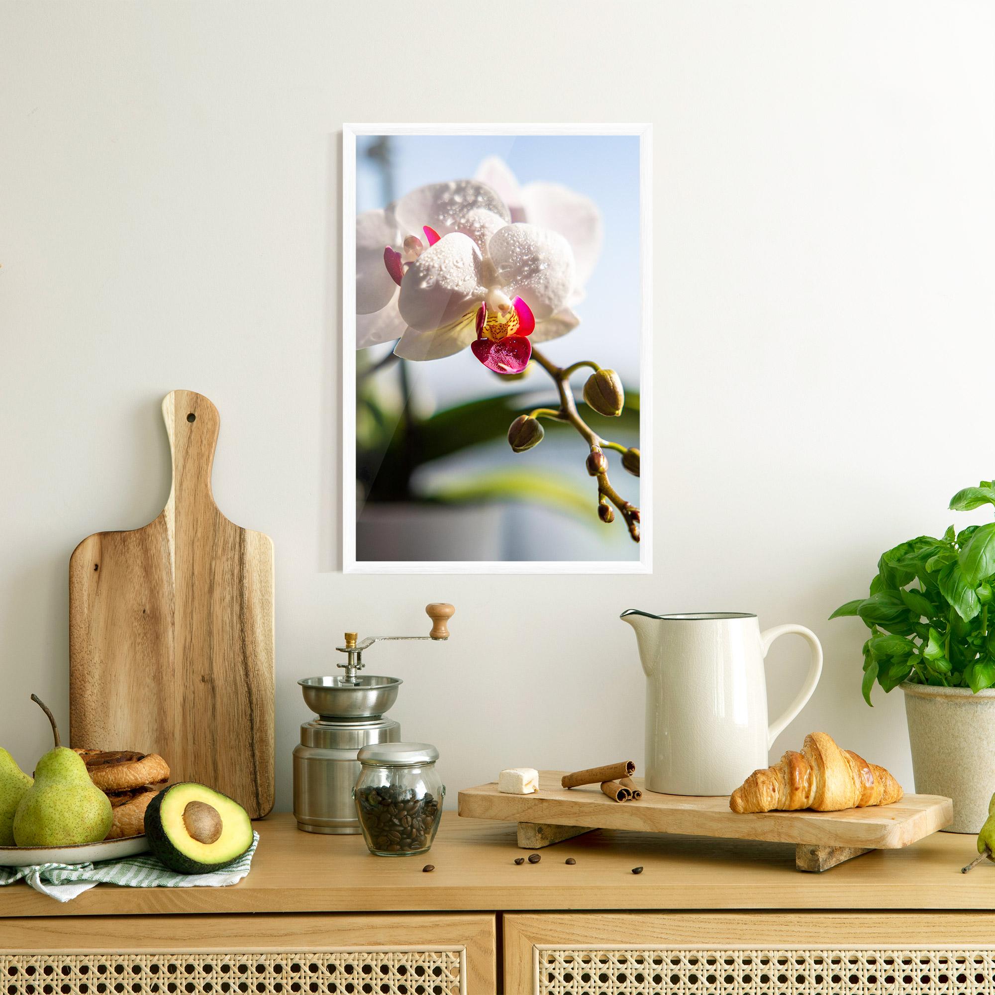 Gerahmte Poster White Orchid With Water mockup 8
