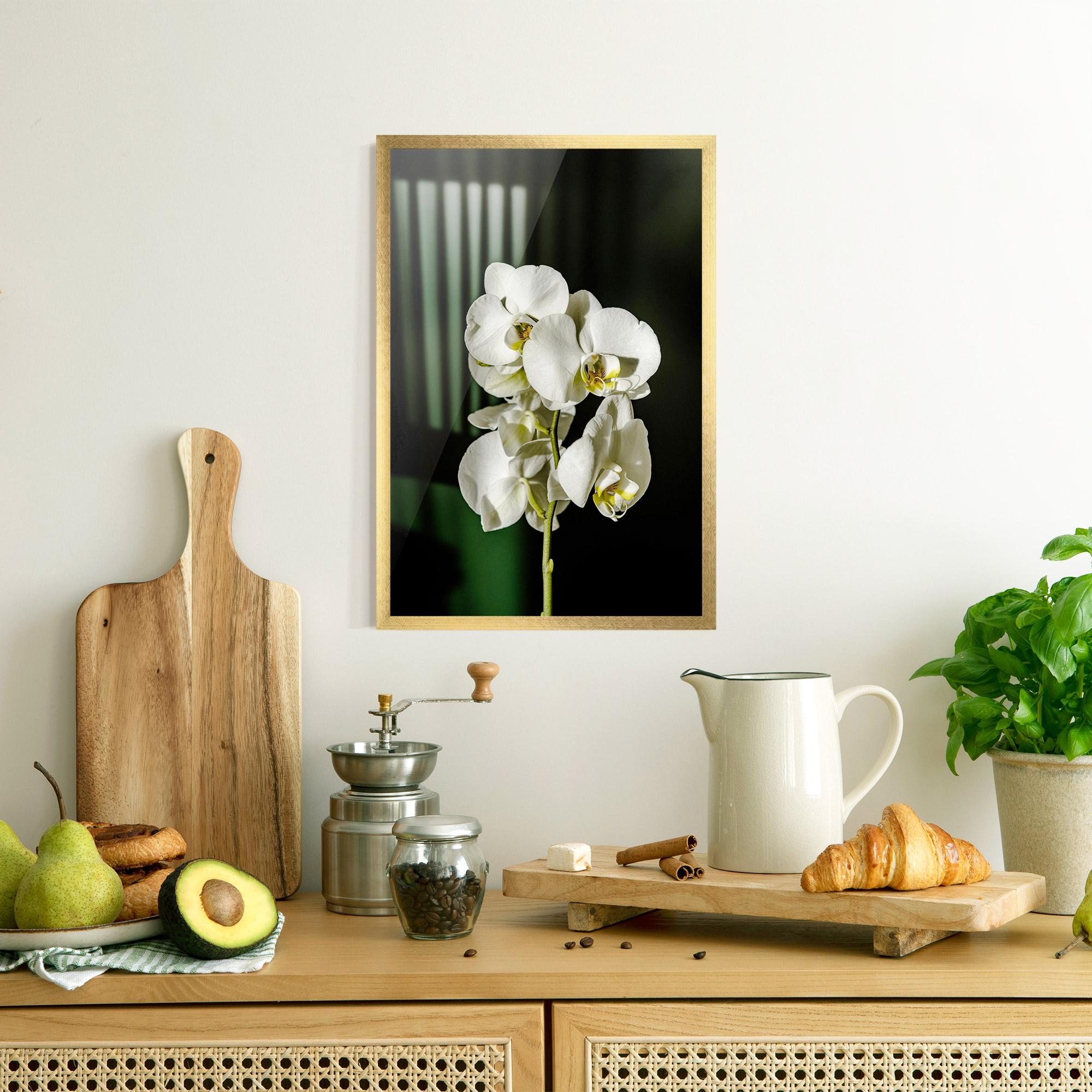 Gerahmte Poster Orchid On Green mockup 8