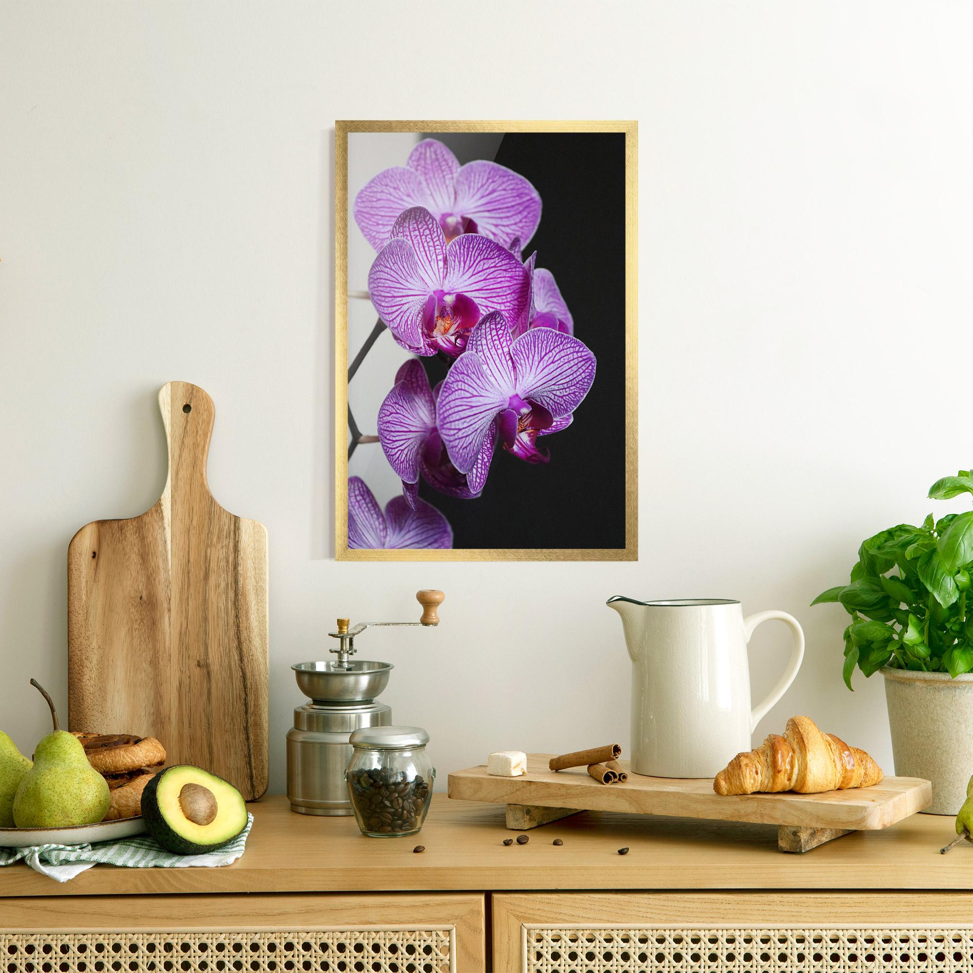 Gerahmte Poster Purple Orchid On Black mockup 8