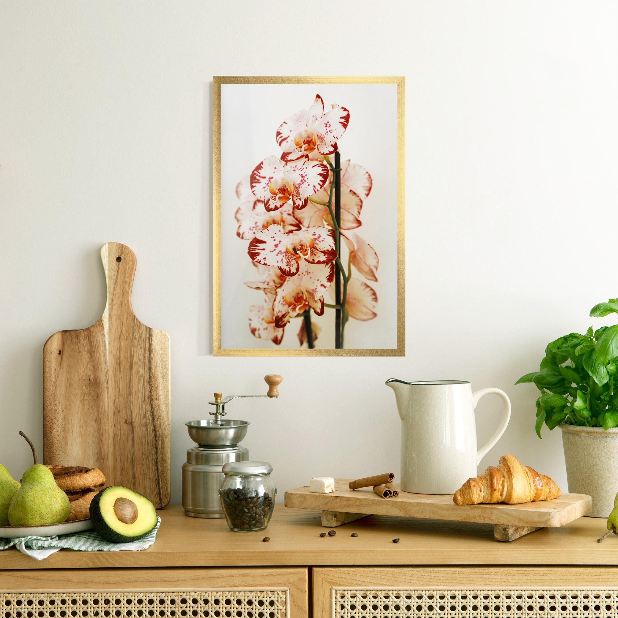 Gerahmte Poster Red White Orchids mockup 8