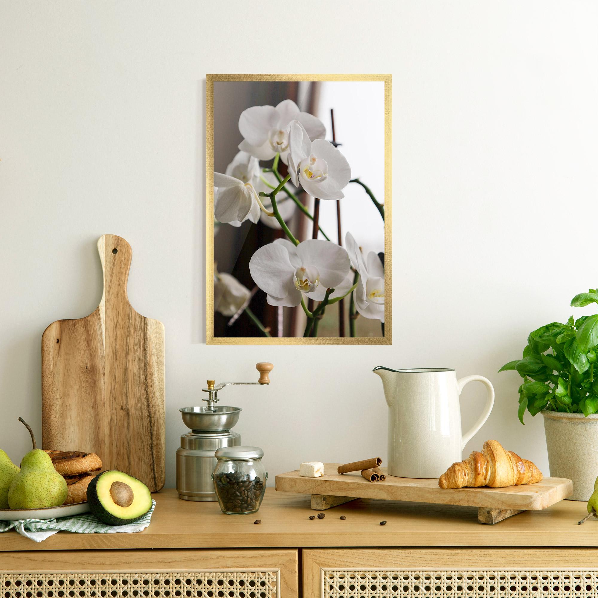 Gerahmte Poster White Orchid Growing mockup 8