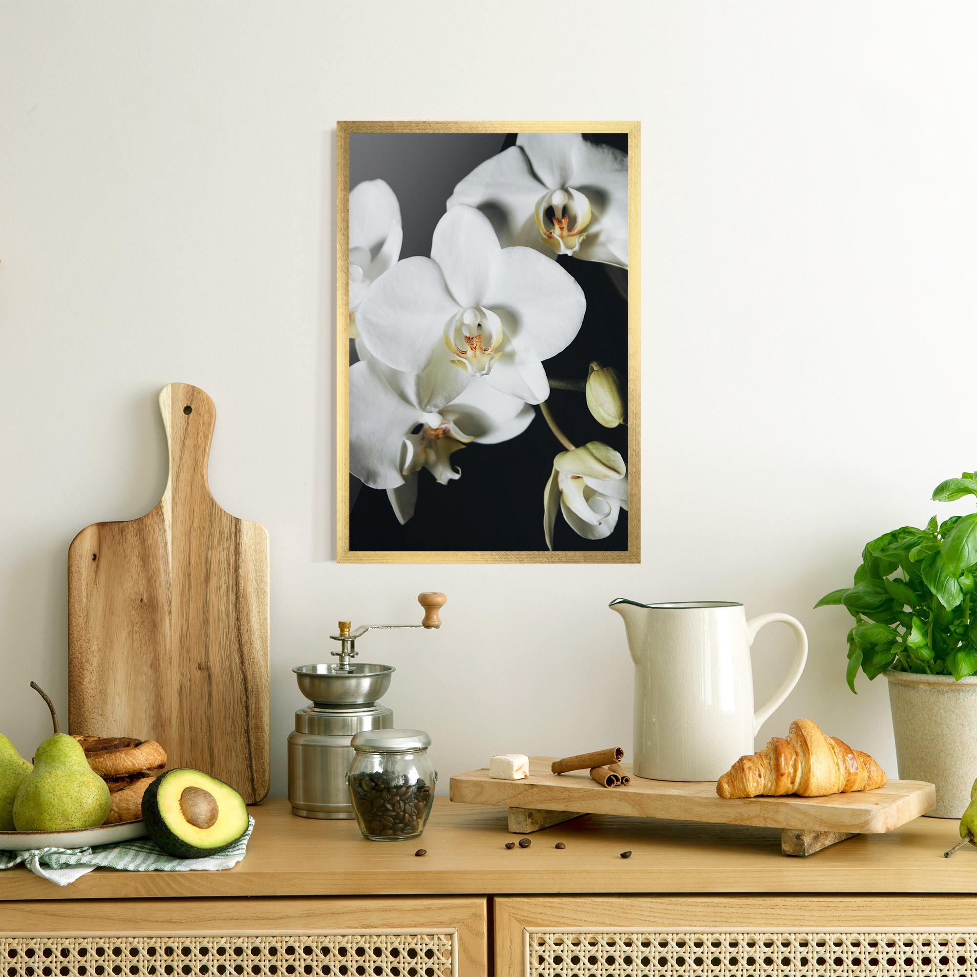 Gerahmte Poster White Orchid On Black mockup 8