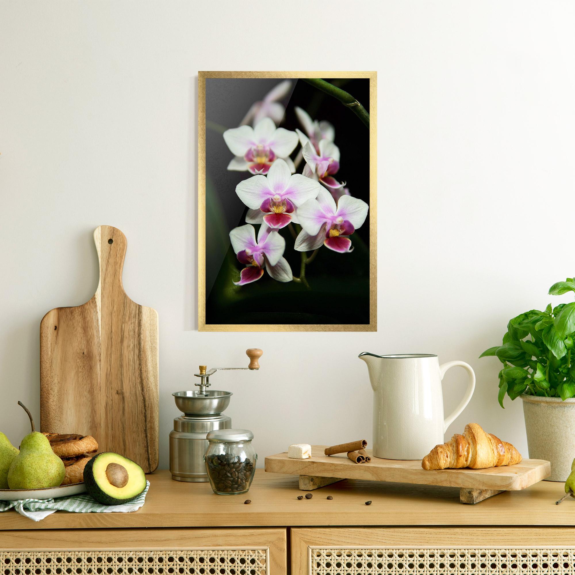 Gerahmte Poster Wild White Purple Orchid mockup 8