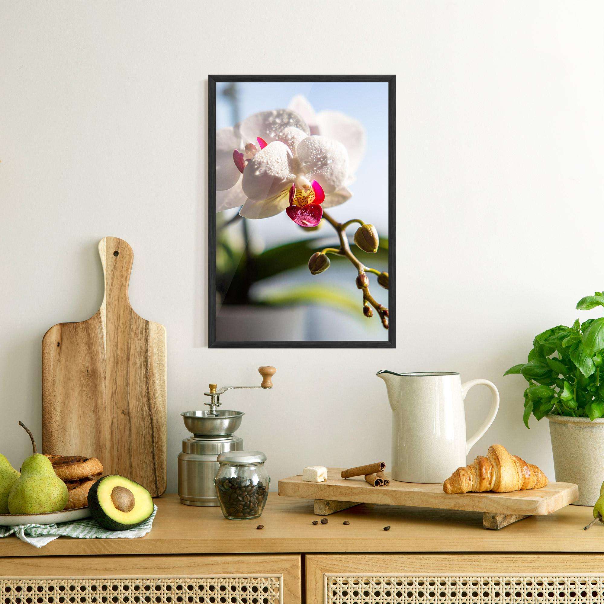 Gerahmte Poster White Orchid With Water mockup 8