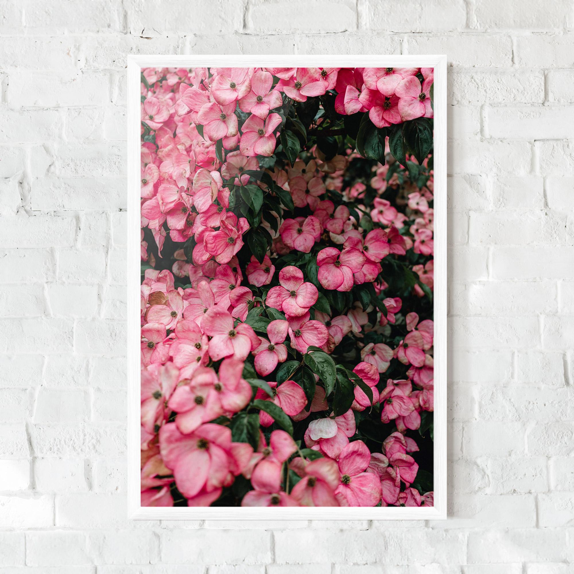 Gerahmte Poster Pink Rose Flower Tree mockup 0