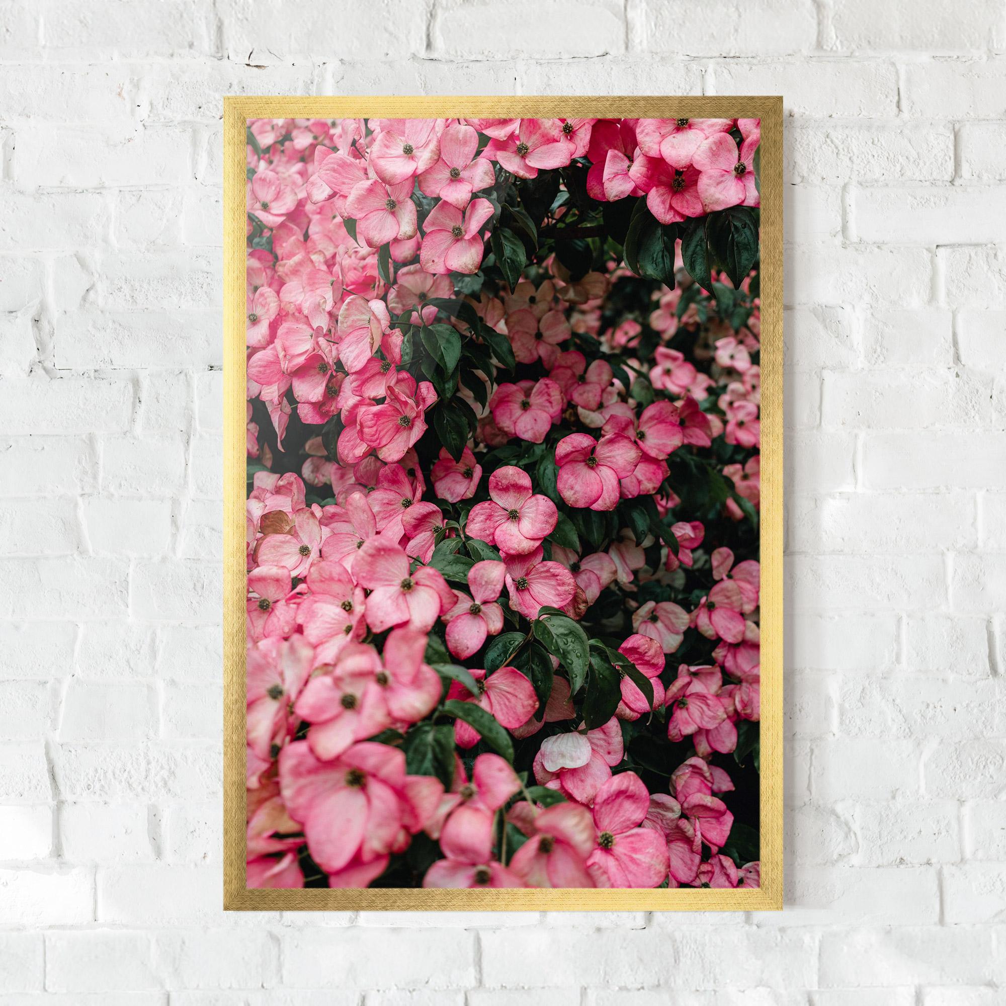 Gerahmte Poster Pink Rose Flower Tree mockup 0