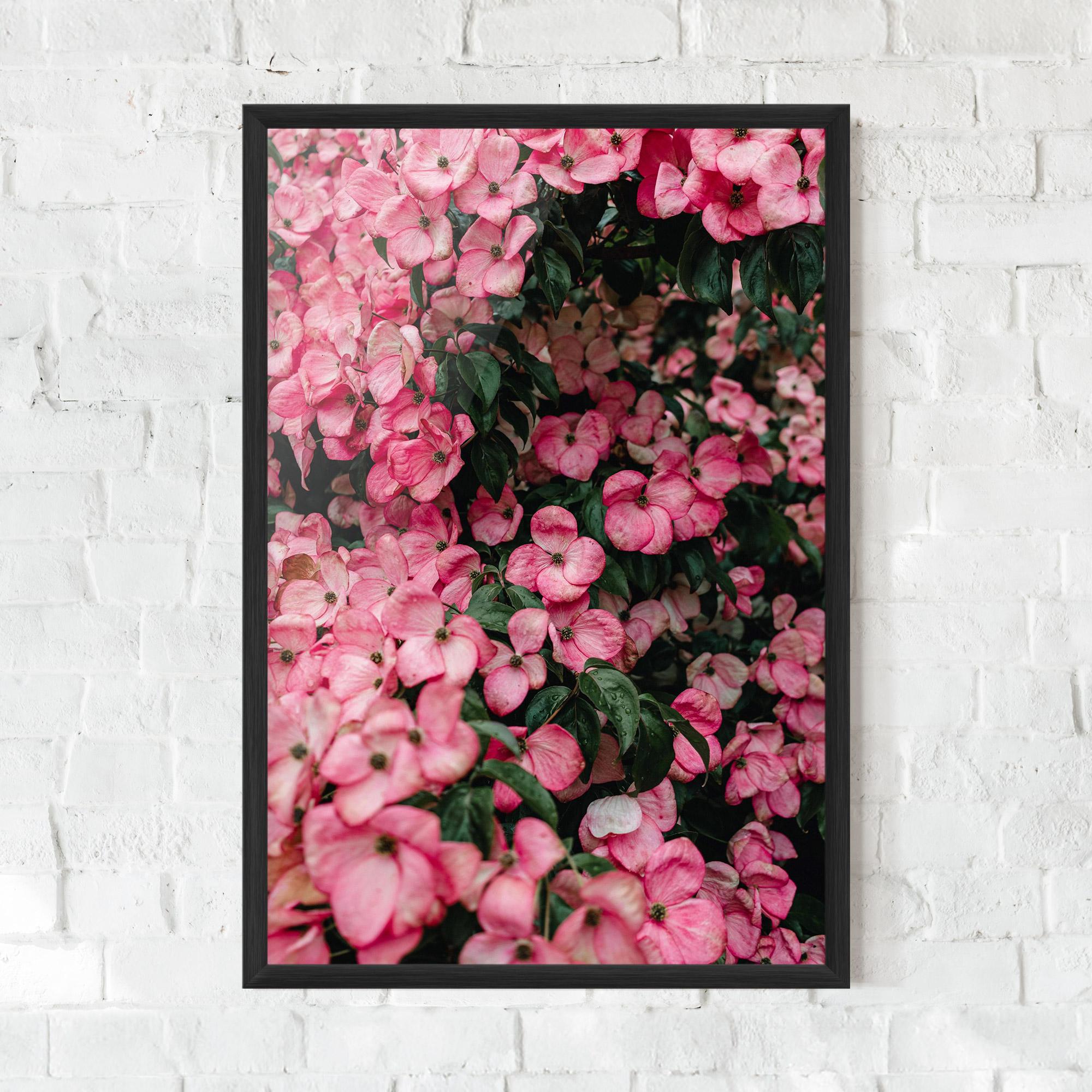 Gerahmte Poster Pink Rose Flower Tree mockup 0