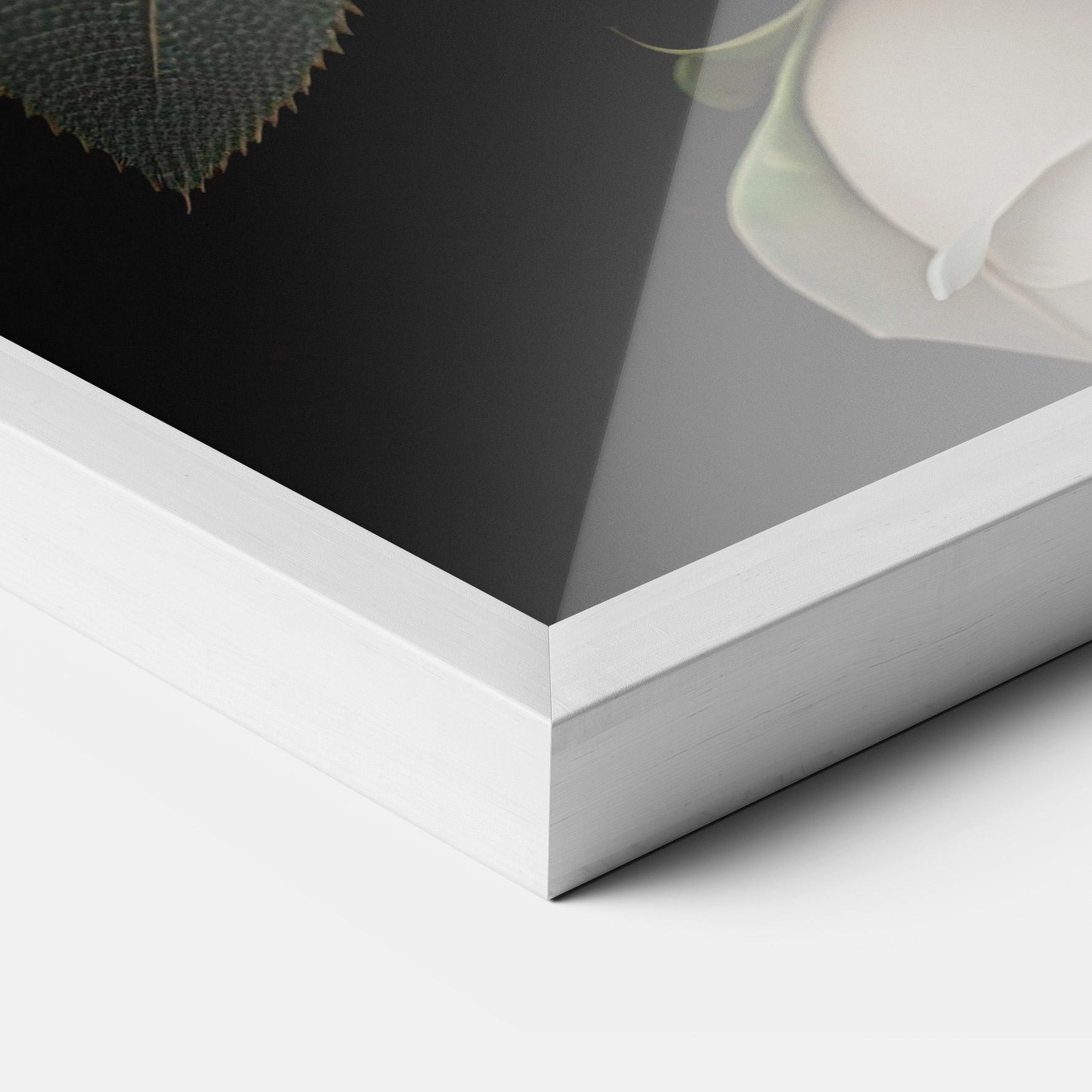 Gerahmte Poster Cream Roses Close Up mockup 3