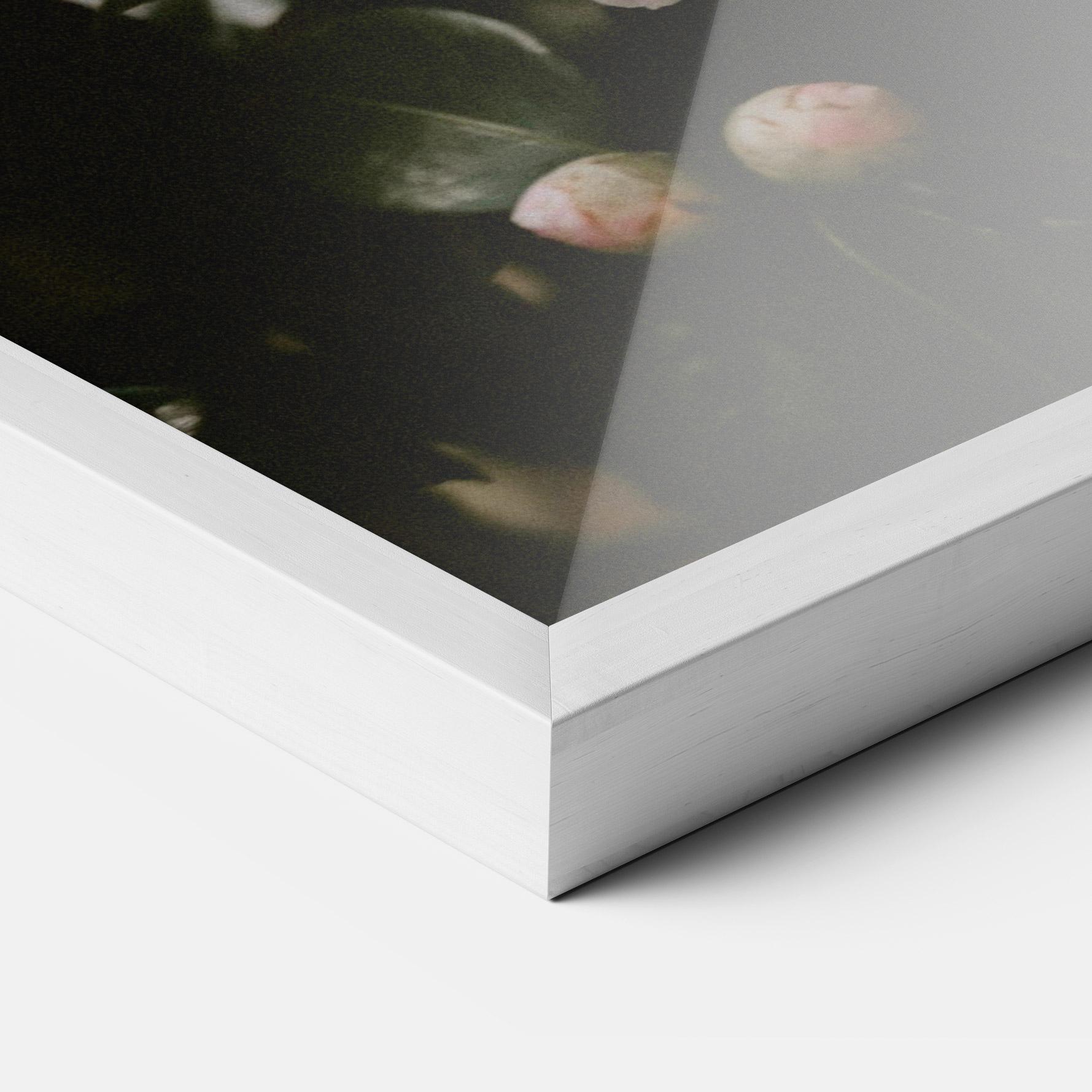 Gerahmte Poster Rose Tree mockup 3