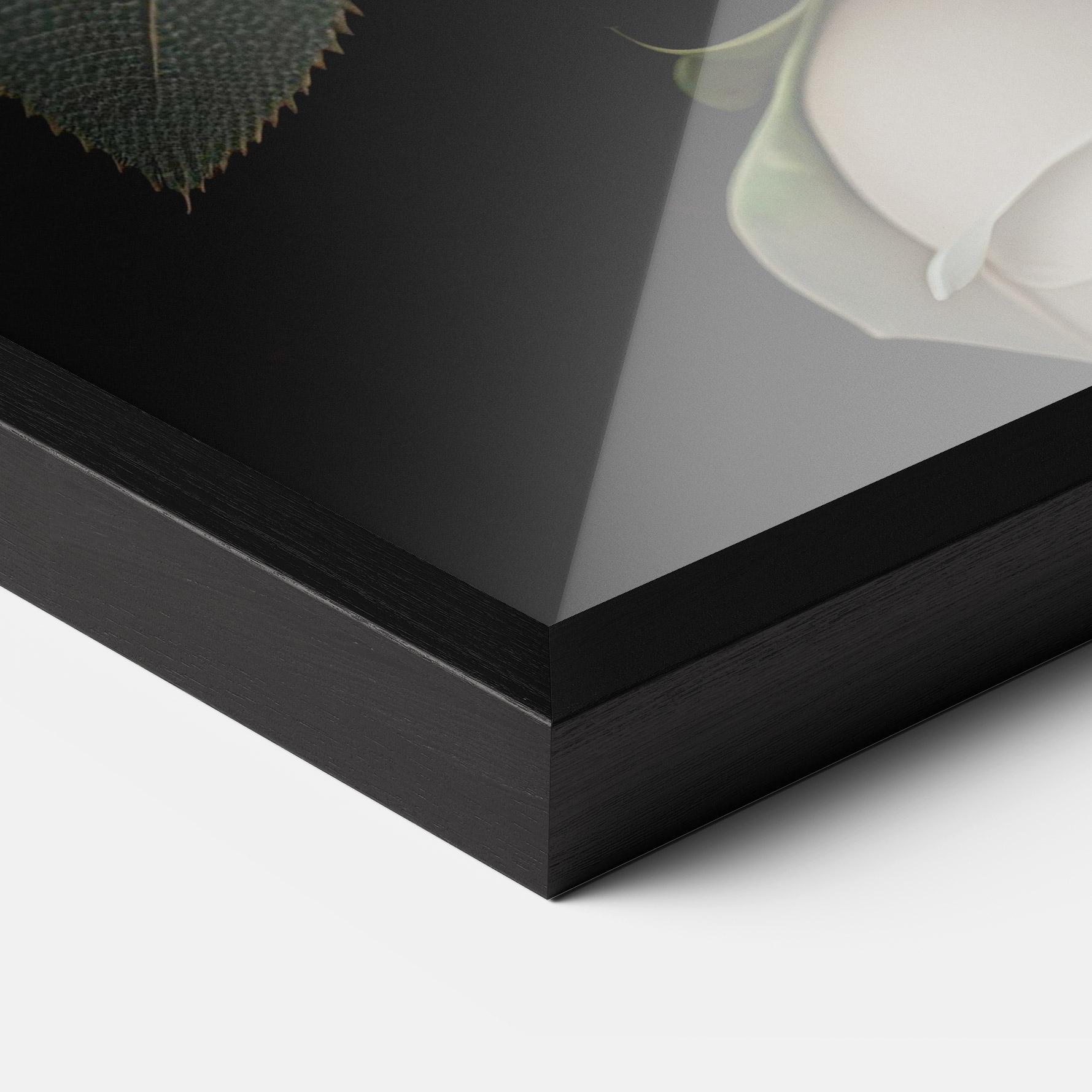 Gerahmte Poster Cream Roses Close Up mockup 3