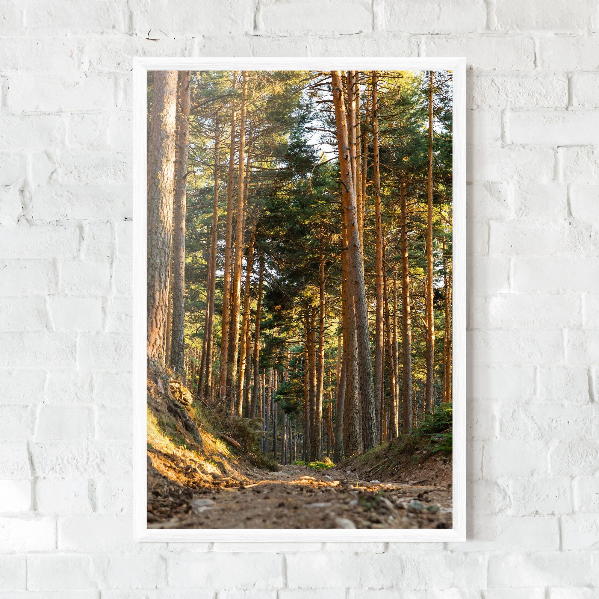 Big Trees Forest mockup 0