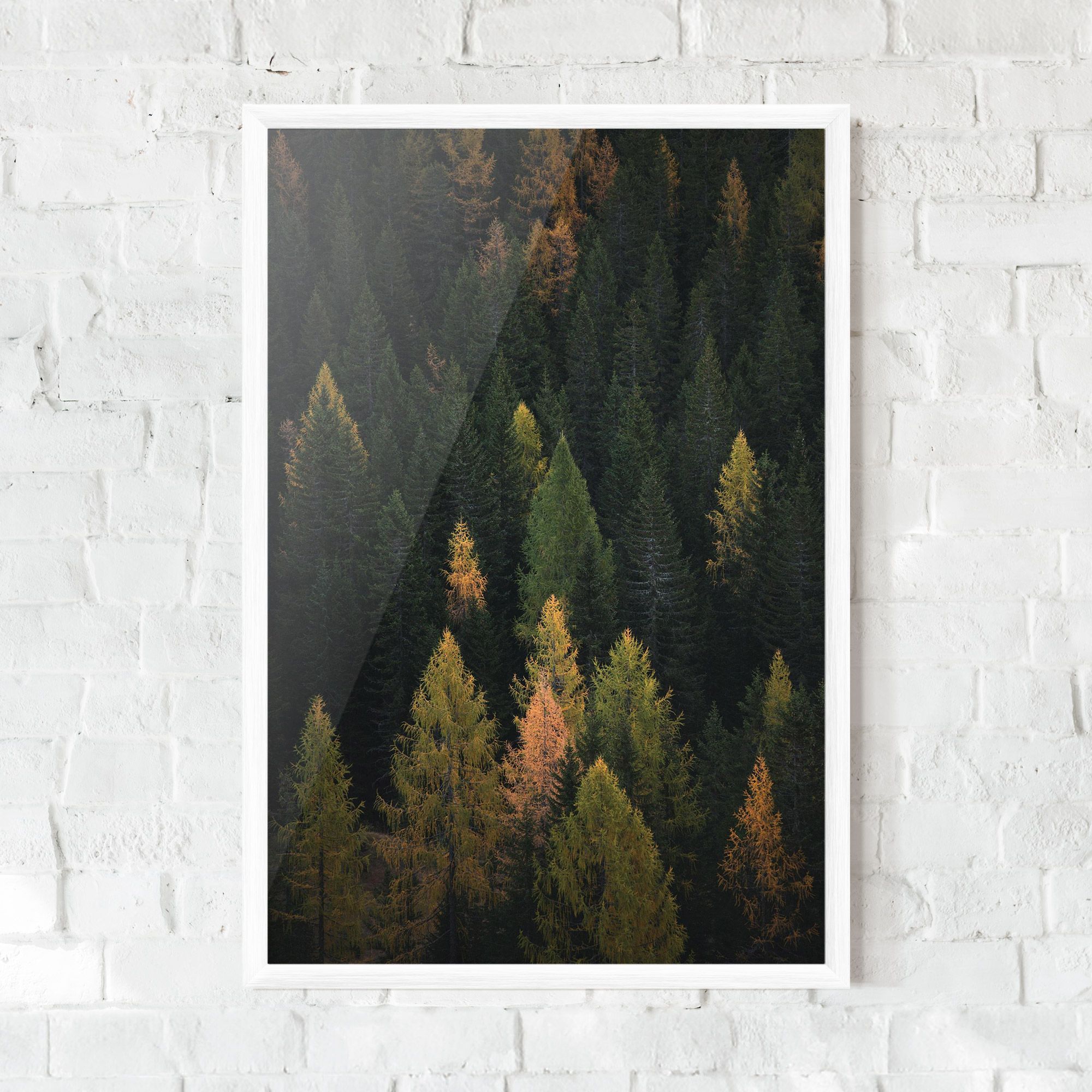 Color Mix Tree mockup 0