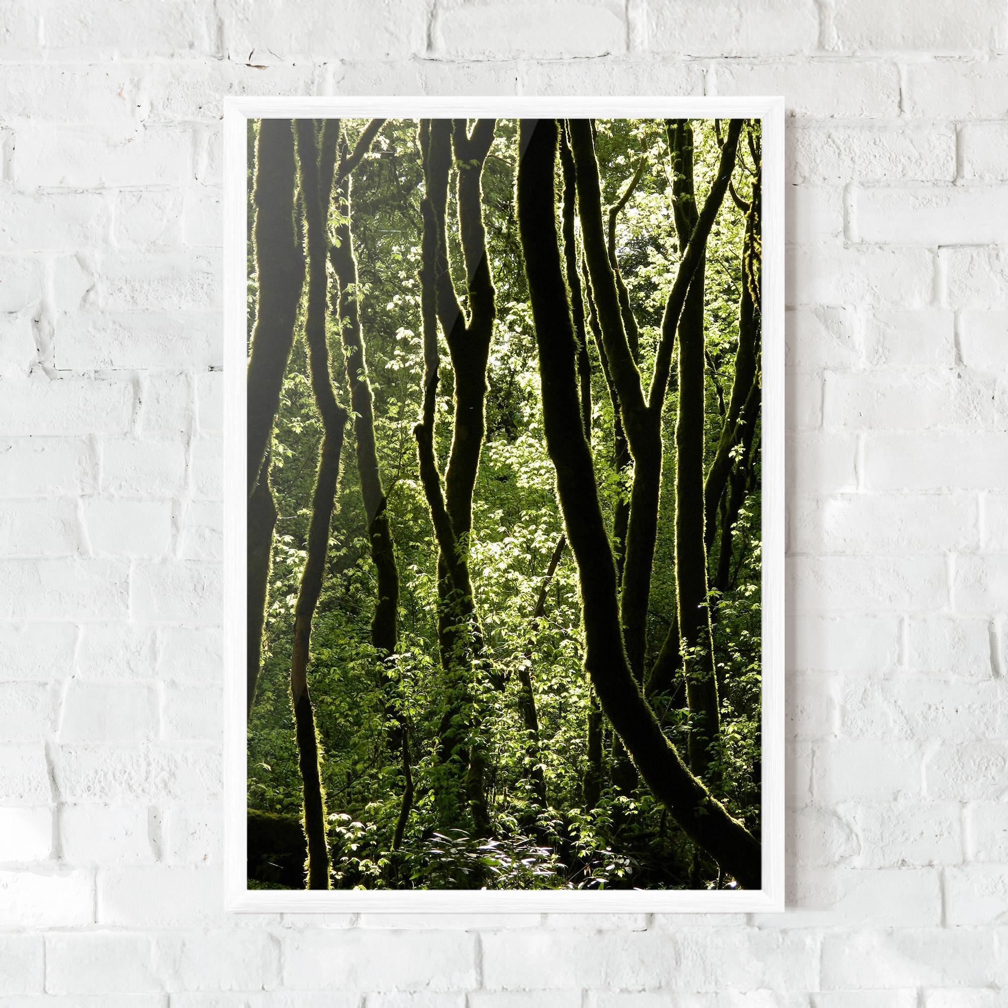 Gerahmte Poster Forest Black Trees mockup 0