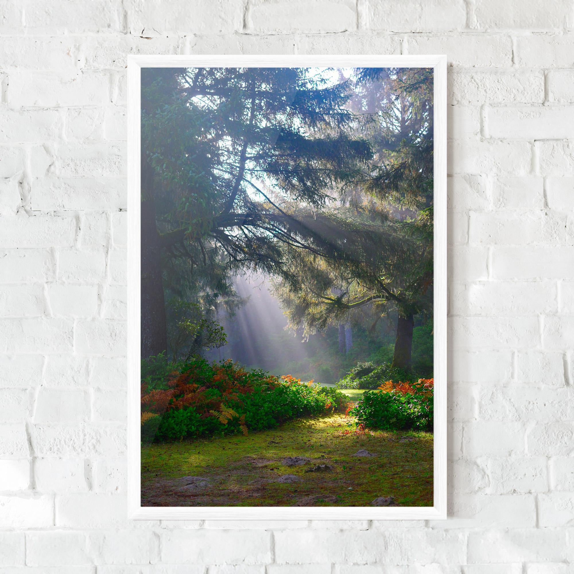 Gerahmte Poster Forest Light mockup 0