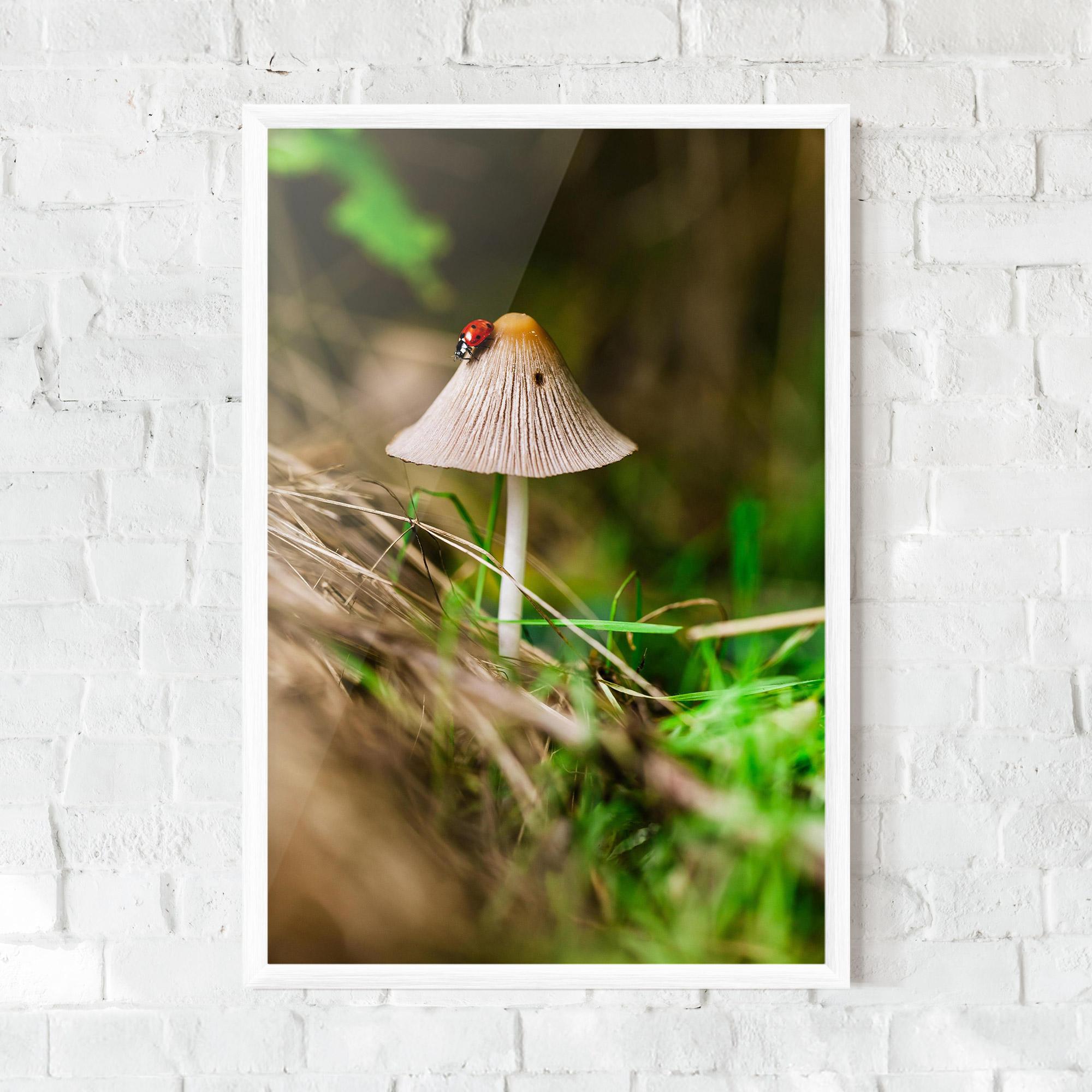 Gerahmte Poster Mushroom Forest mockup 0