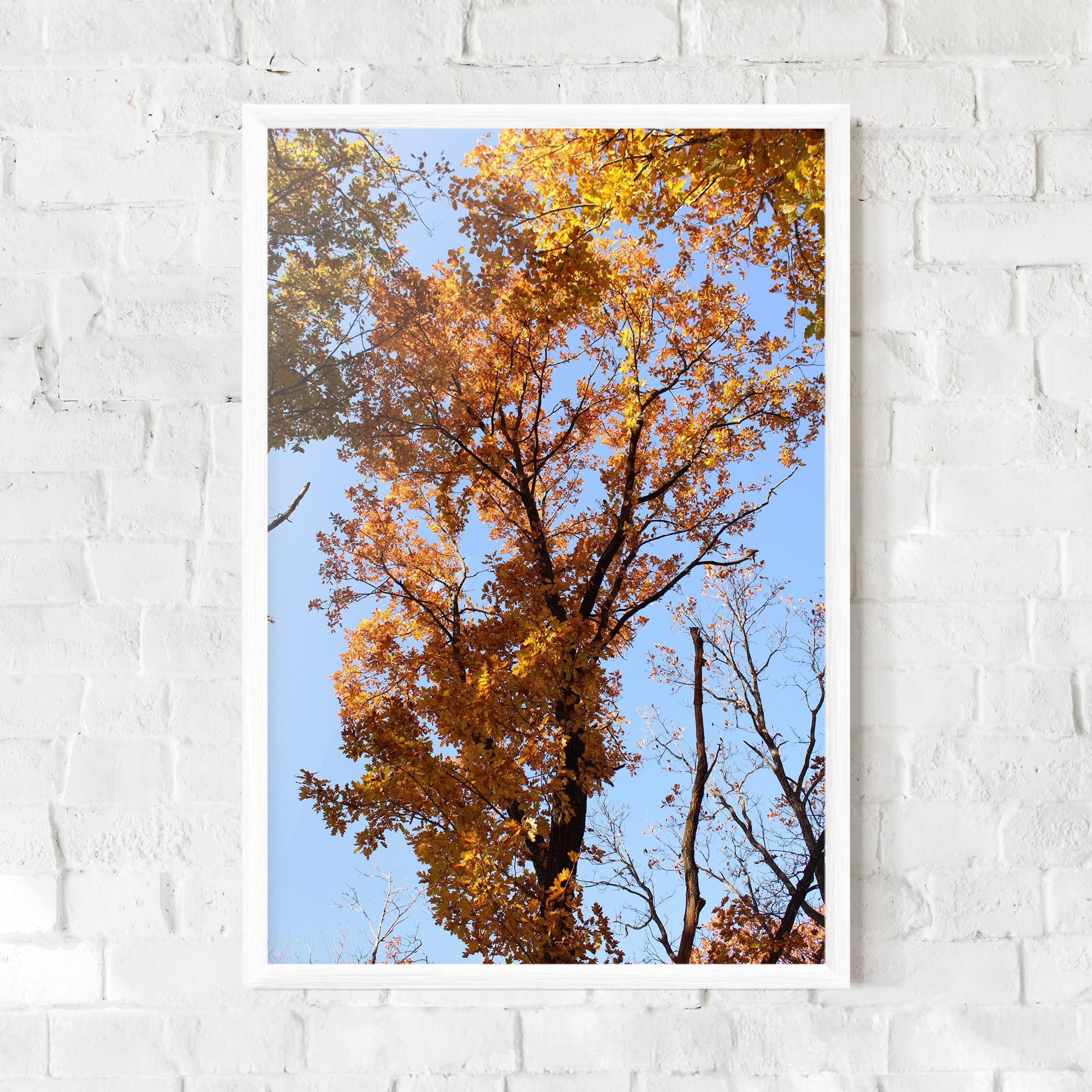 Gerahmte Poster Yellow Tree Forest mockup 0