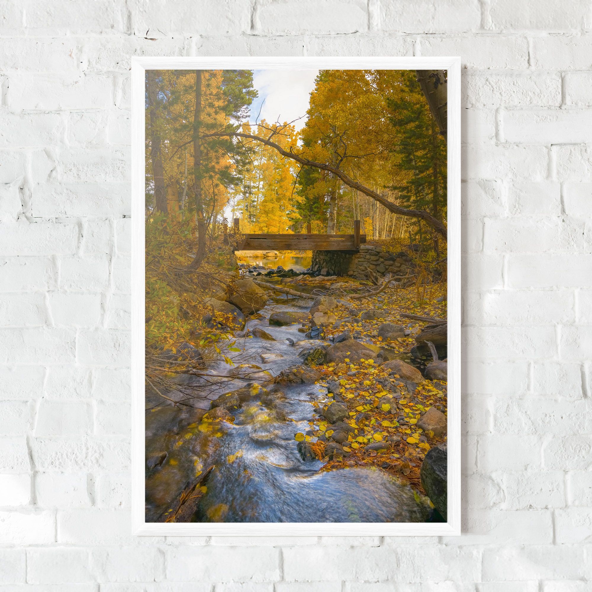 Yellow View Forest mockup 0