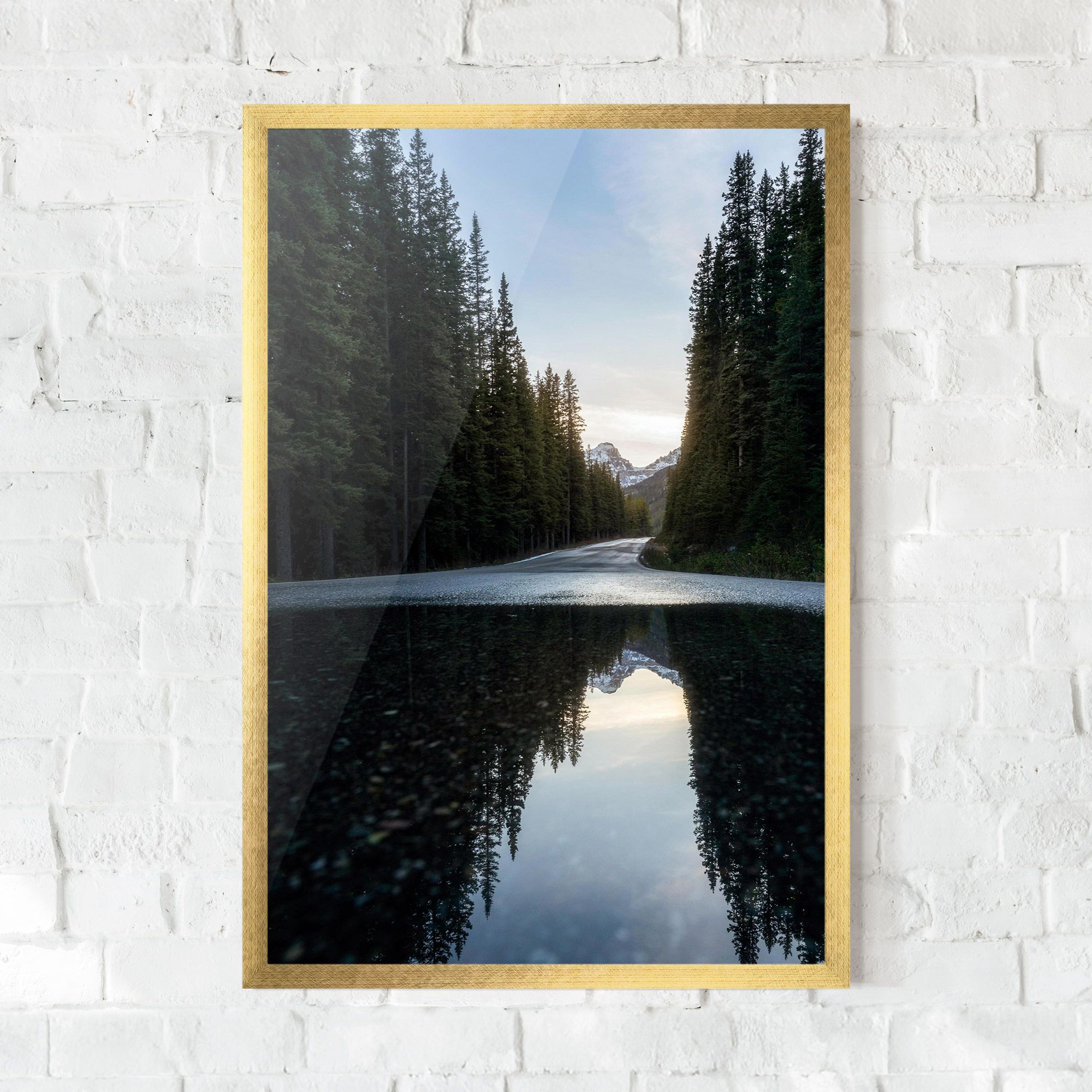 Big Lake Forest mockup 0