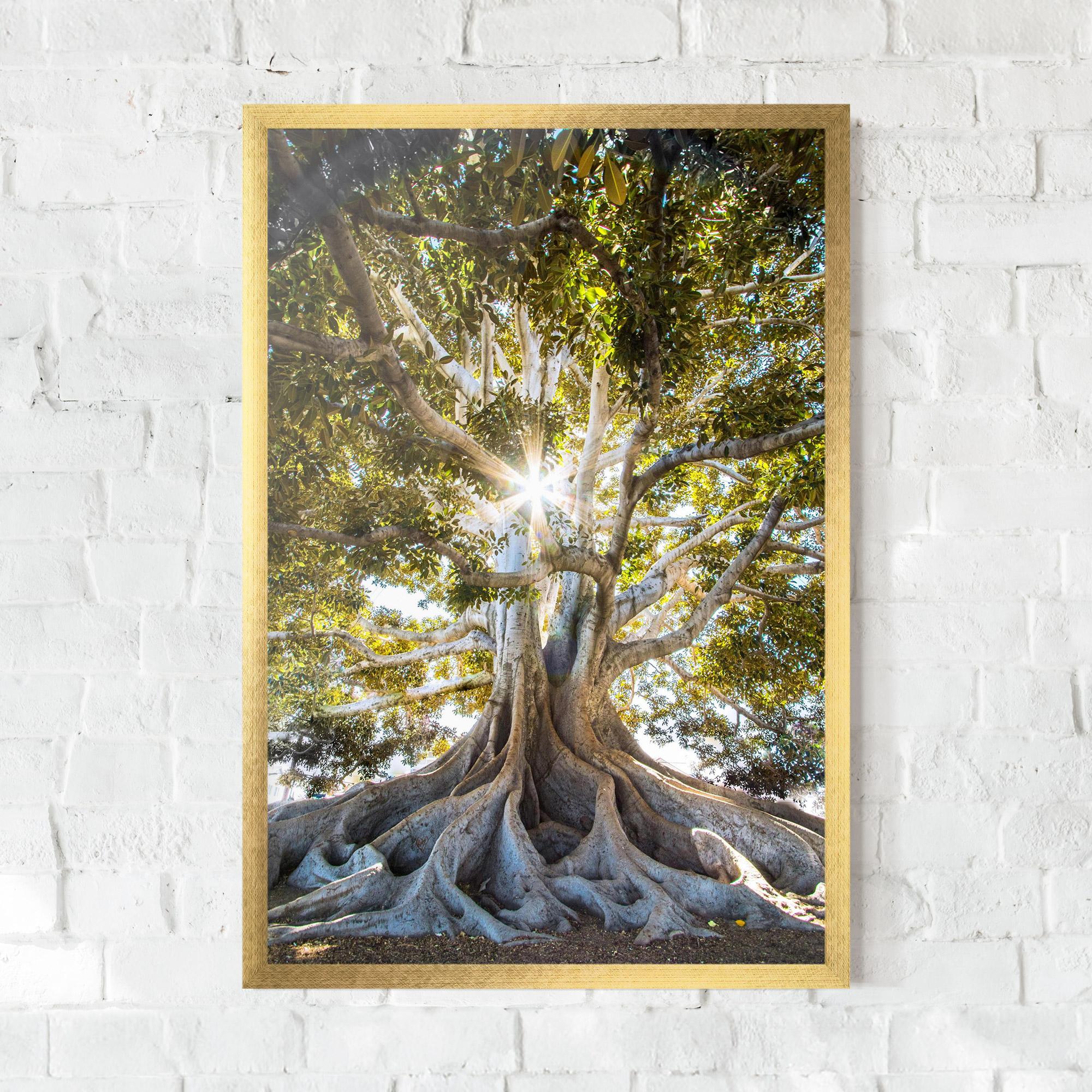 Gerahmte Poster Big Old Tree mockup 0