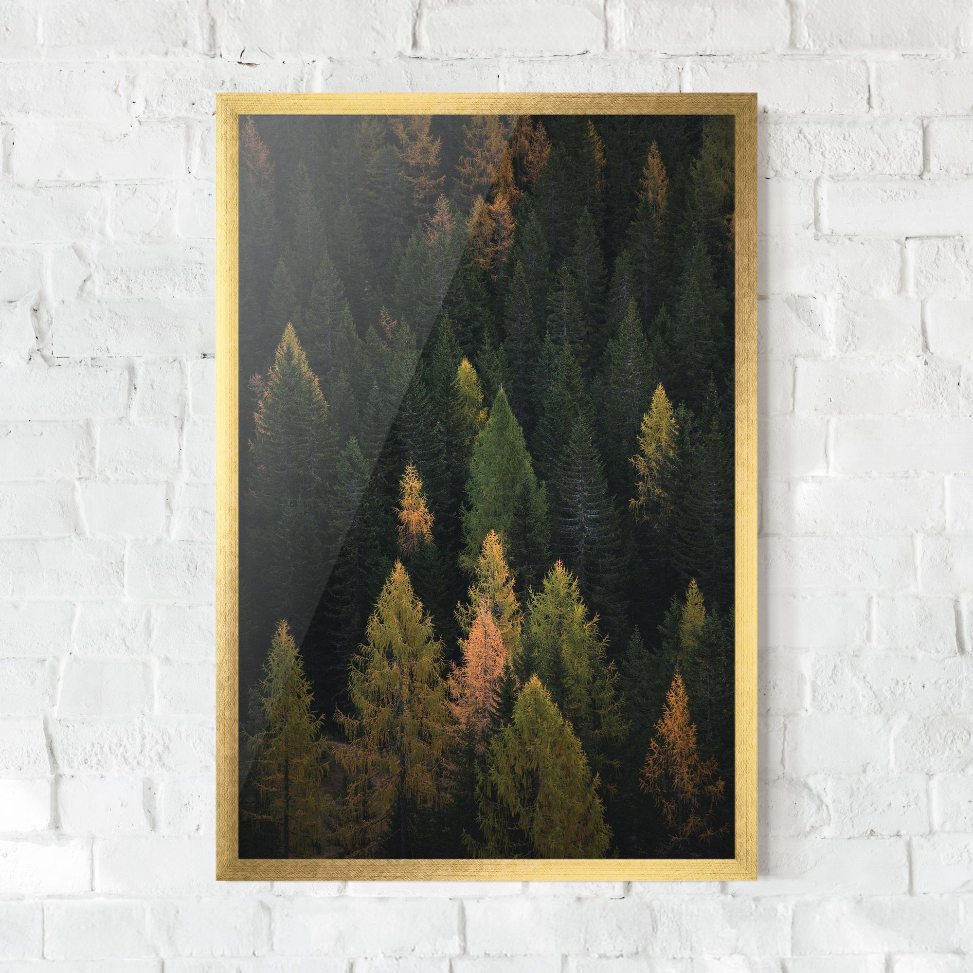 Color Mix Tree mockup 0