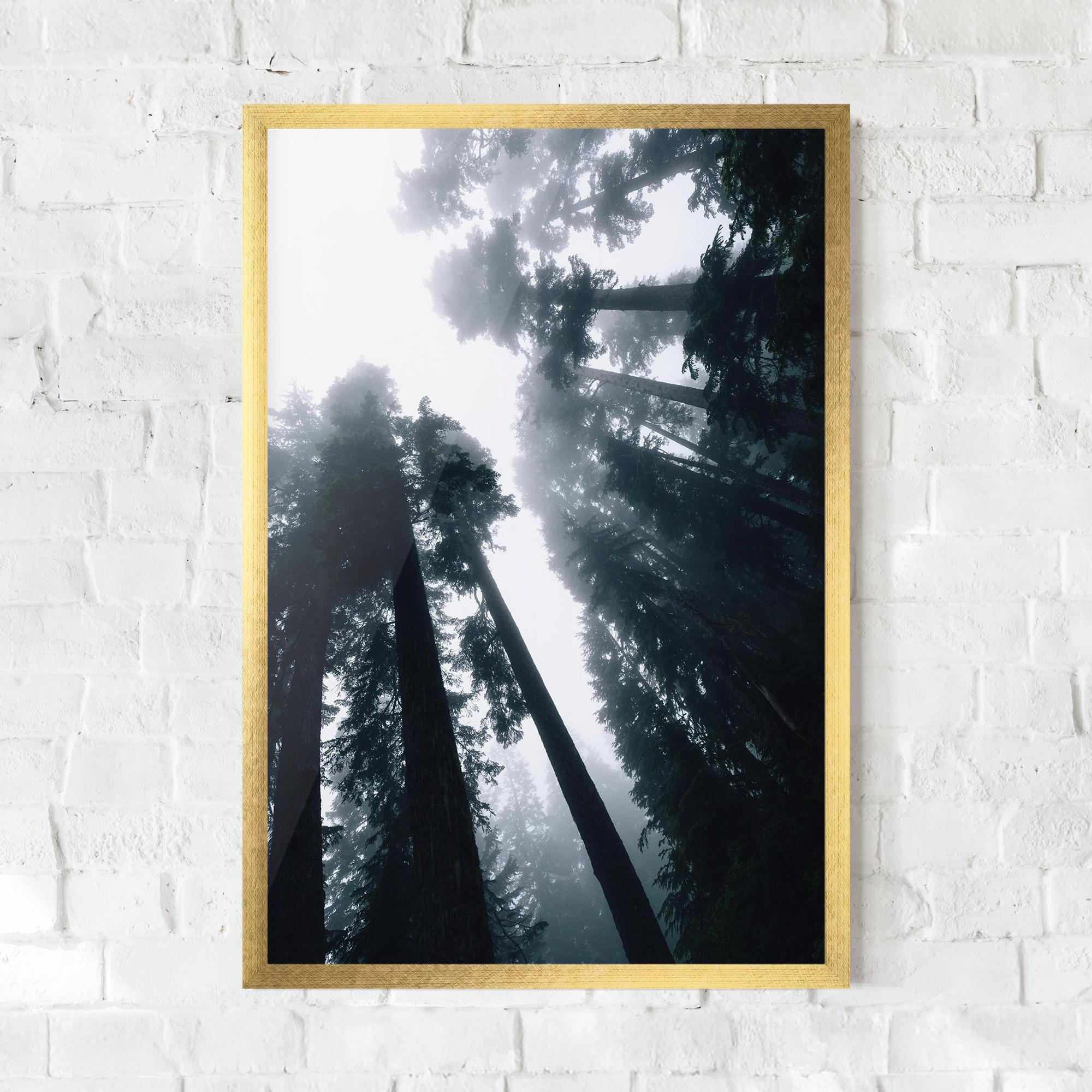 Gerahmte Poster Foggy Big Trees mockup 0