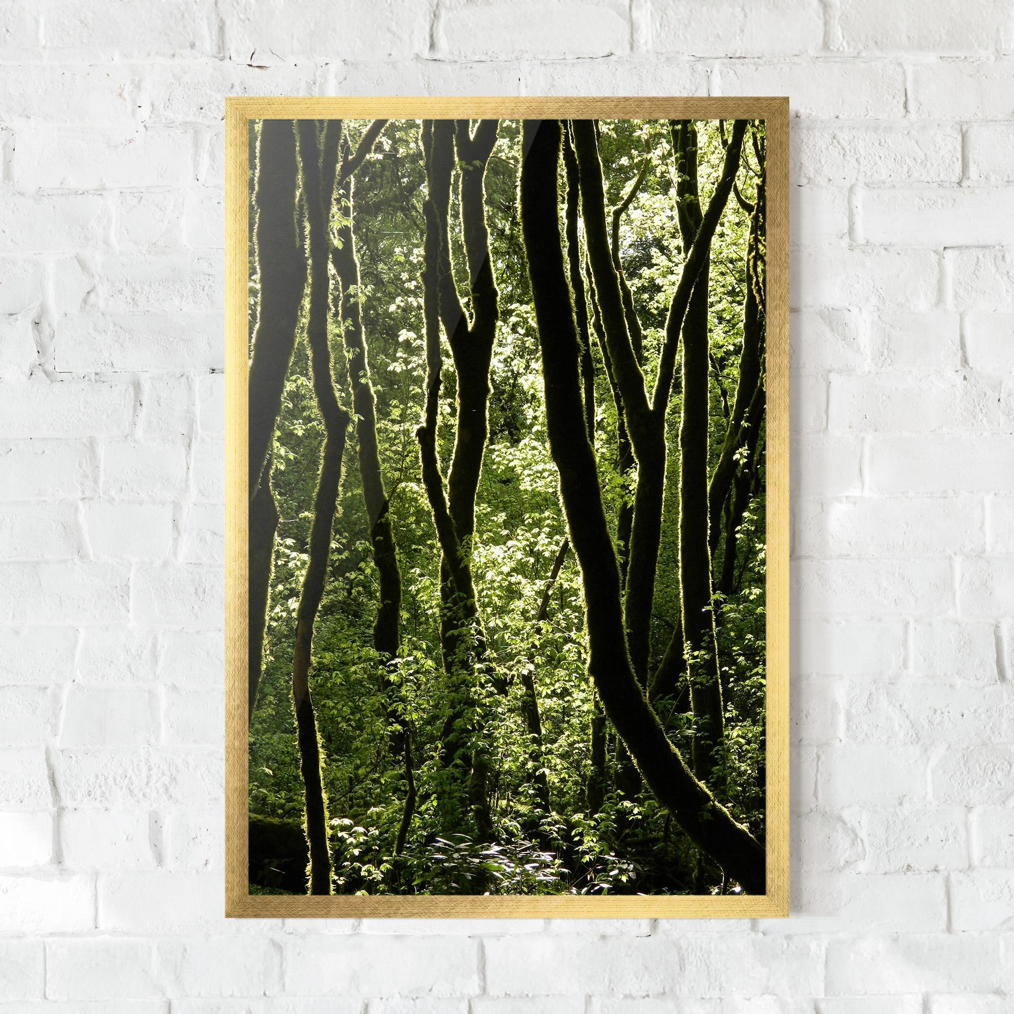 Gerahmte Poster Forest Black Trees mockup 0