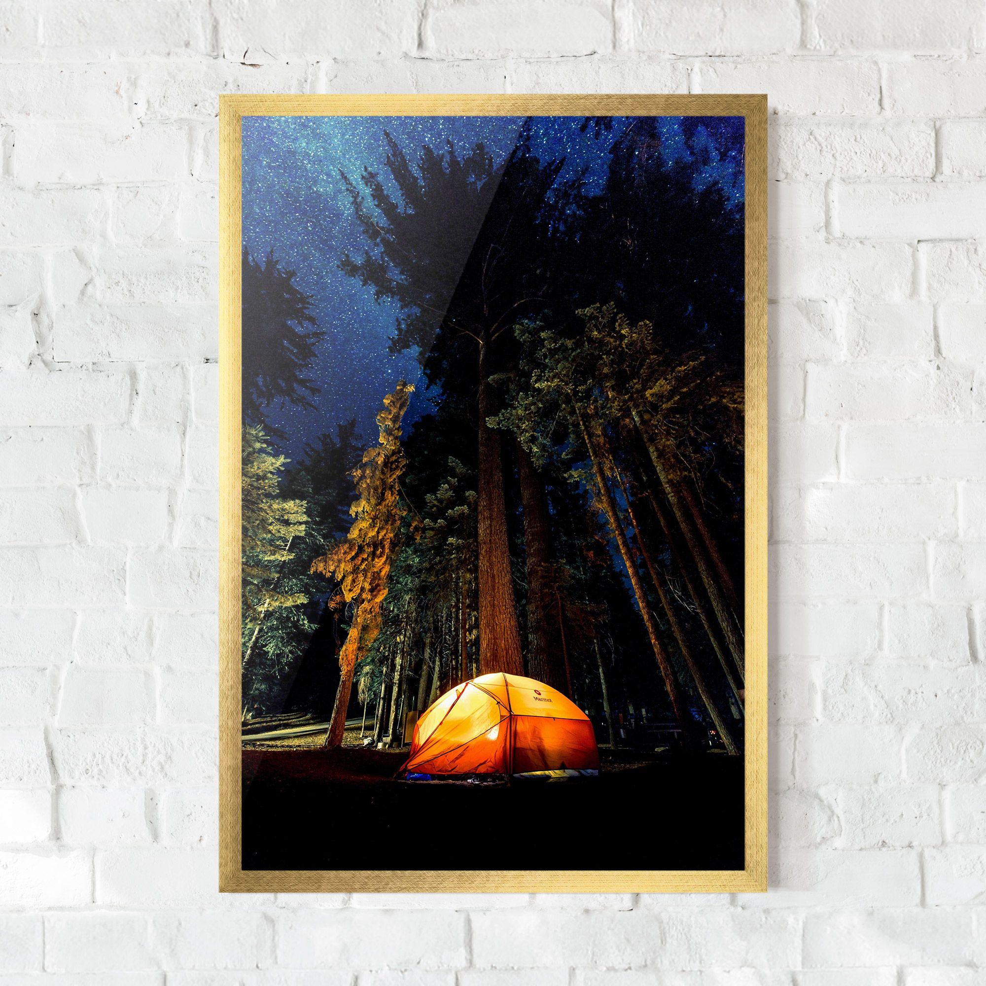 Forest Trip mockup 0