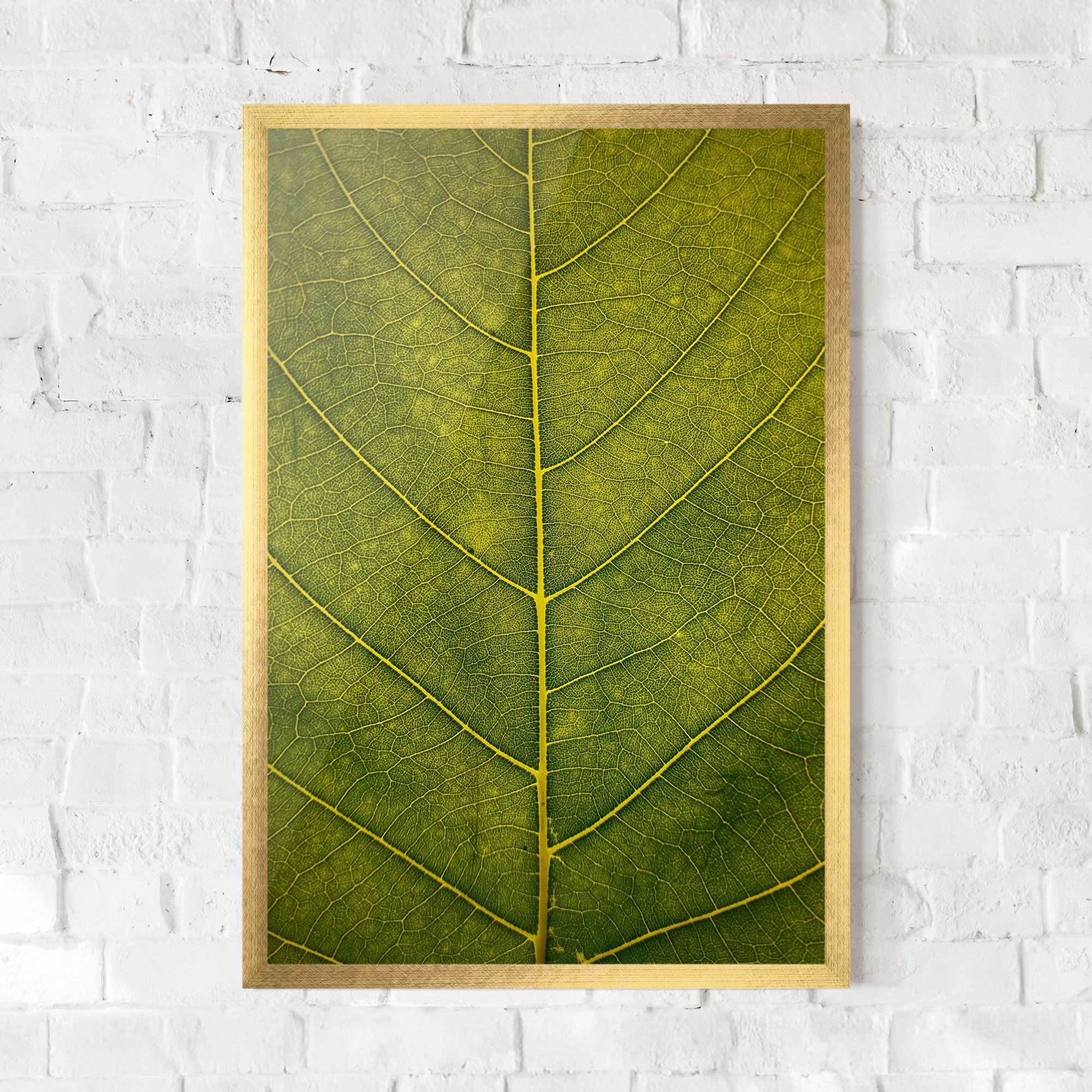 Leaf Closeup Forest mockup 0