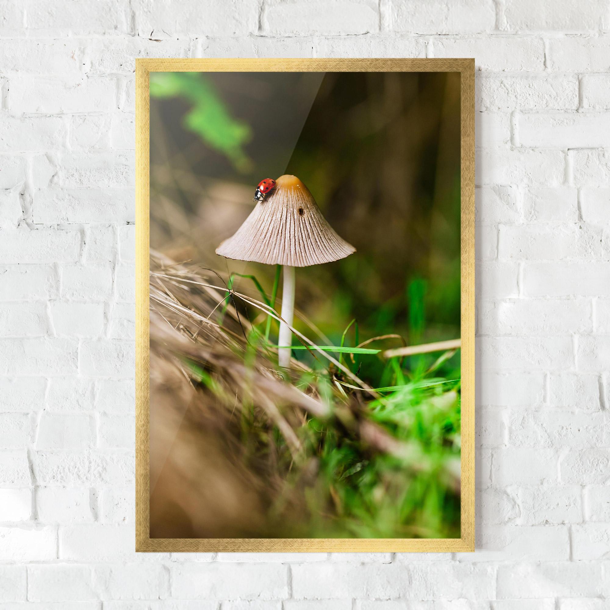 Gerahmte Poster Mushroom Forest mockup 0