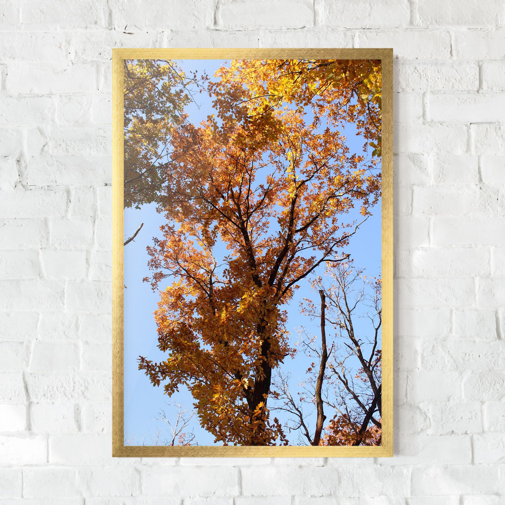 Yellow Tree Forest mockup 0
