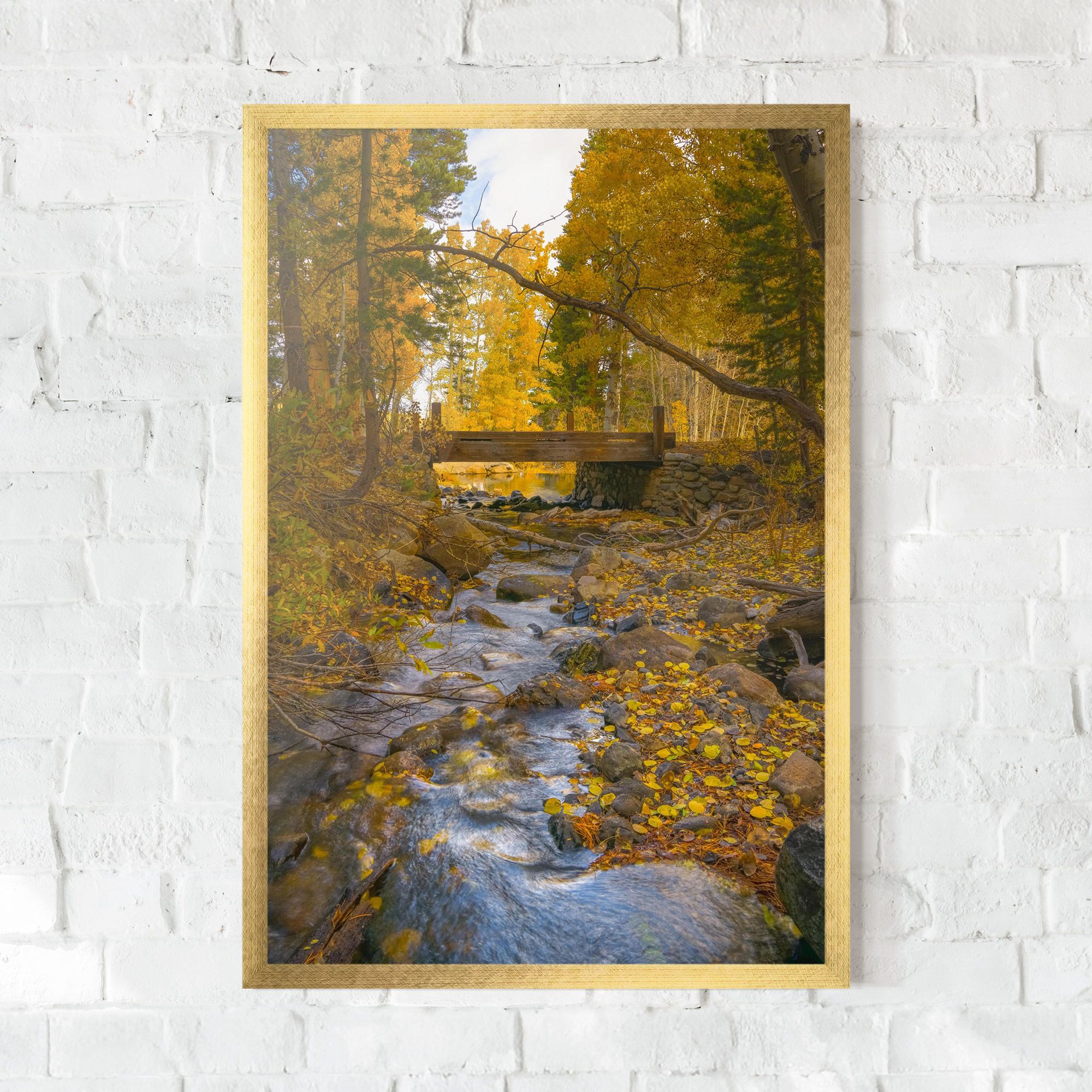 Yellow View Forest mockup 0