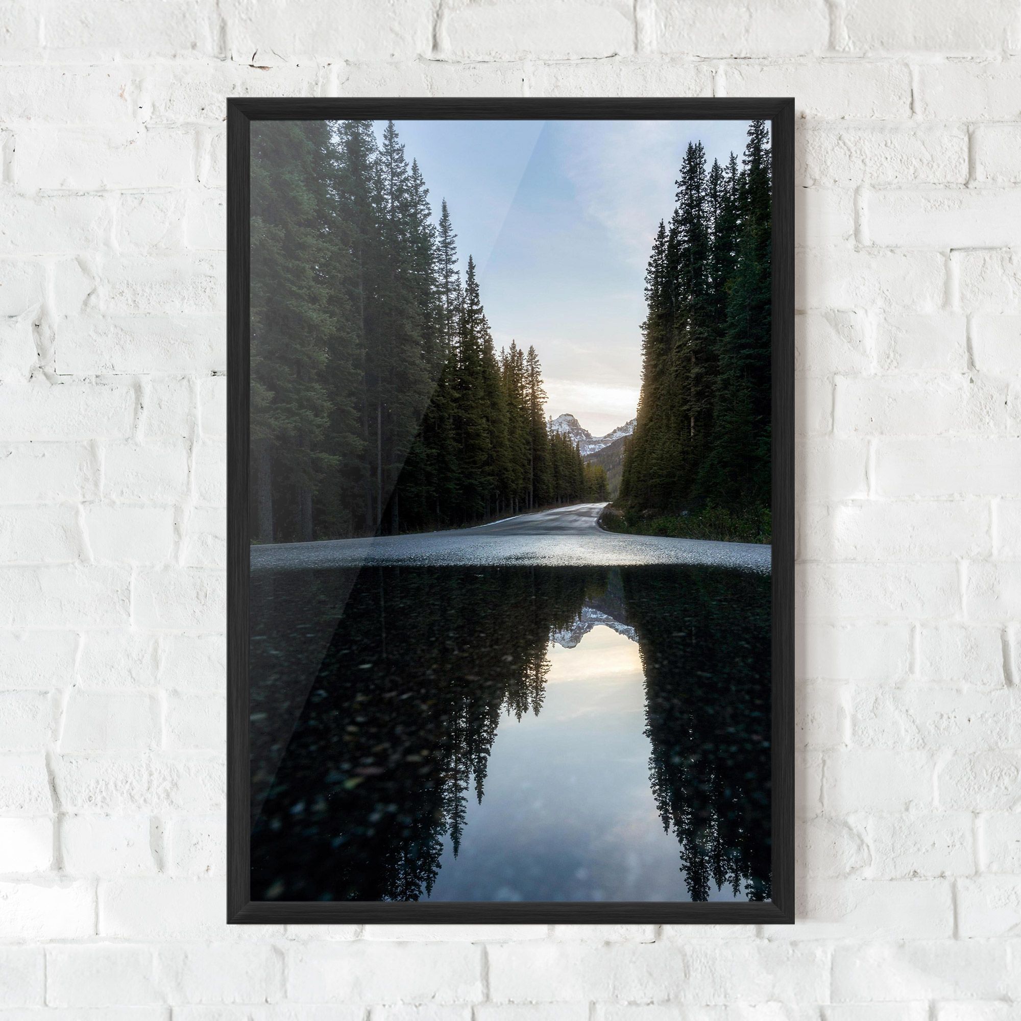 Big Lake Forest mockup 0