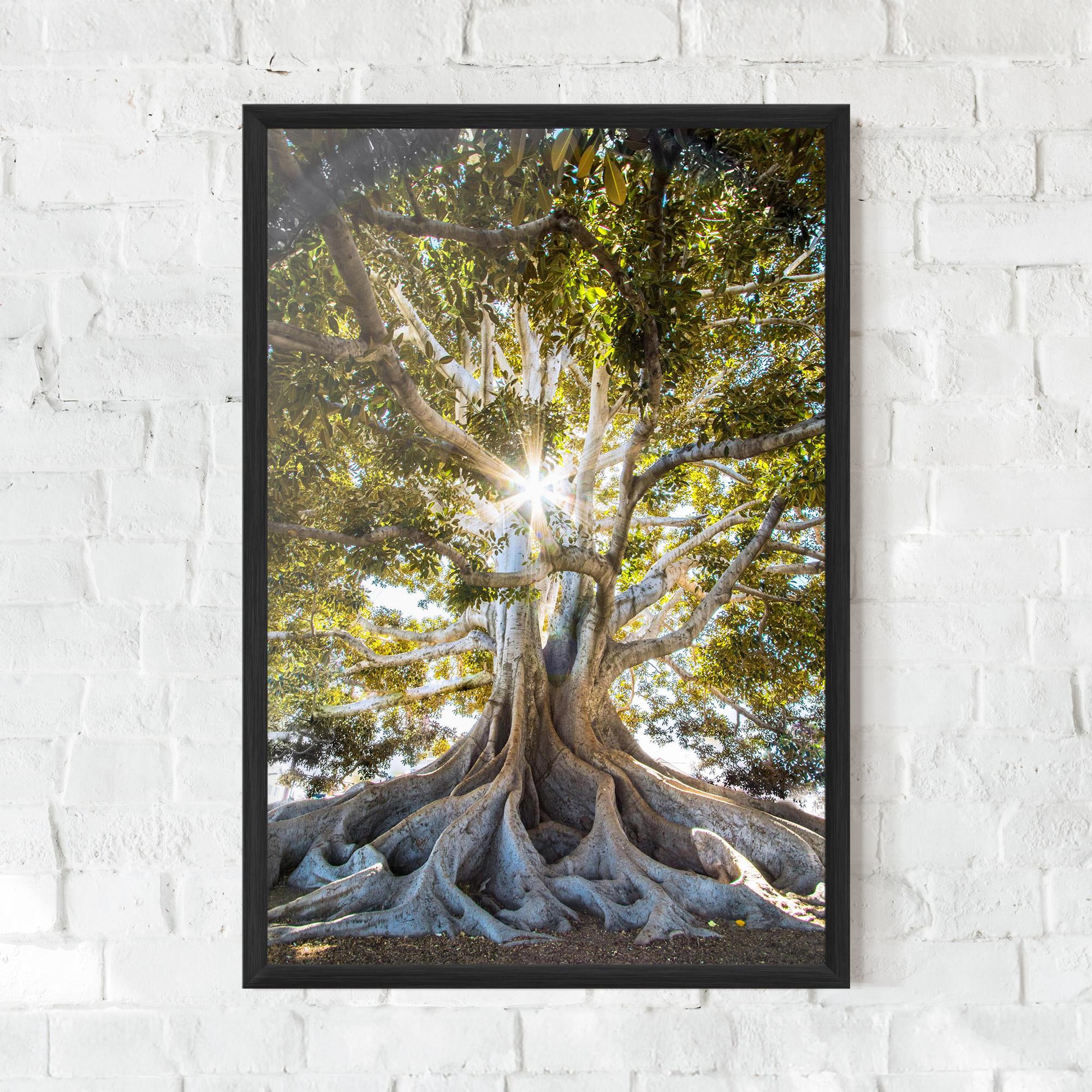 Gerahmte Poster Big Old Tree mockup 0