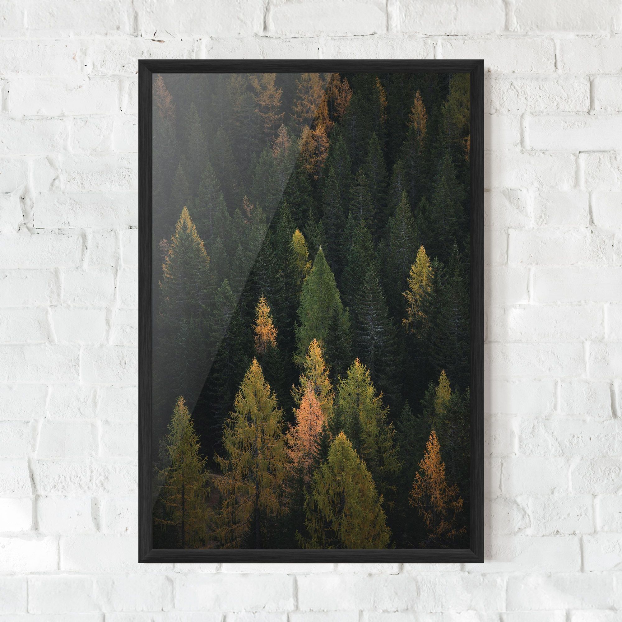 Color Mix Tree mockup 0